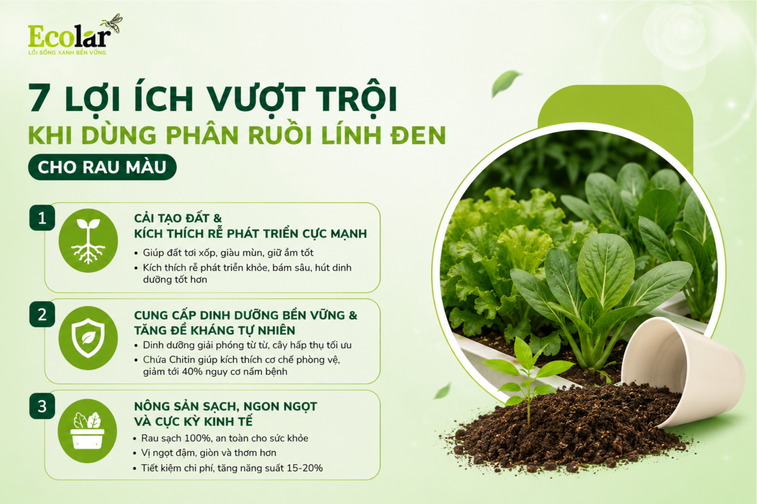 7 Lợi Ích Vượt Trội Khi Dùng Phân Ruồi Lính Đen Cho Rau Màu