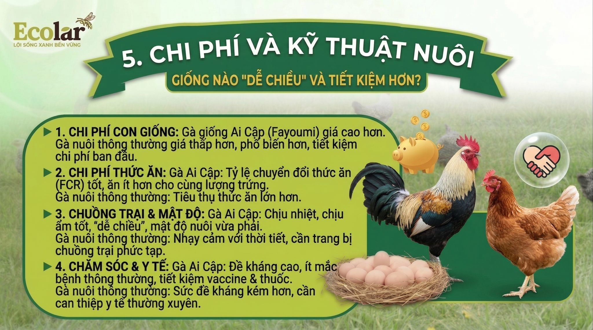 i-giong-nao-de-chieu-va-tiet-kiem-hon_b985a7a38cfe4df090efa4fe04f8cc30.png