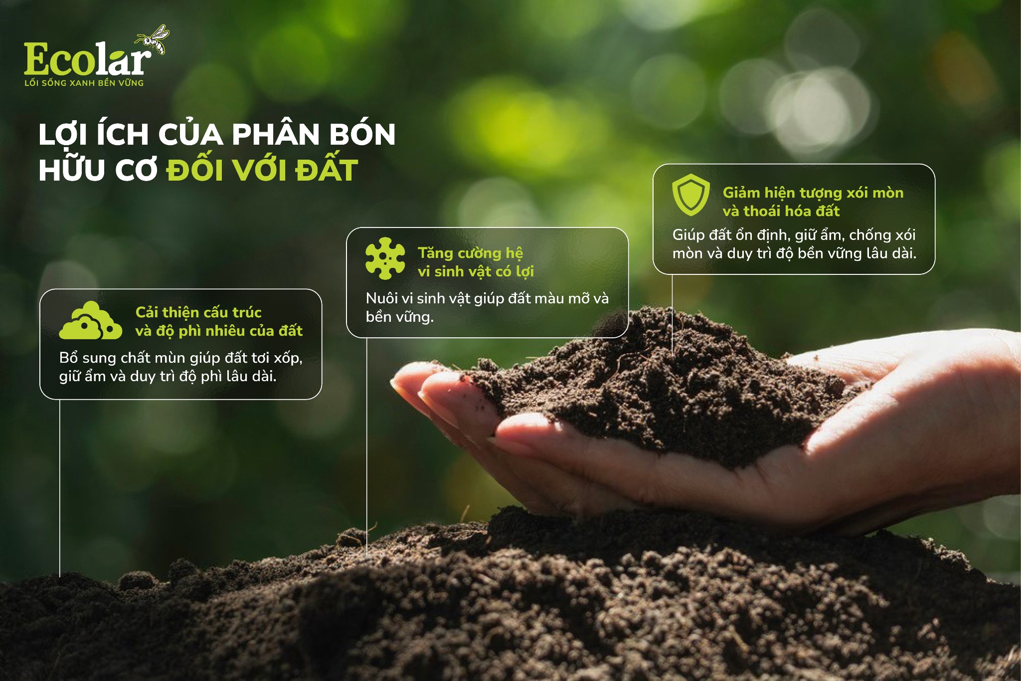 Lợi Ích Của Phân Bón Hữu Cơ: Giải Pháp Xanh Cho Nông Nghiệp Bền Vững