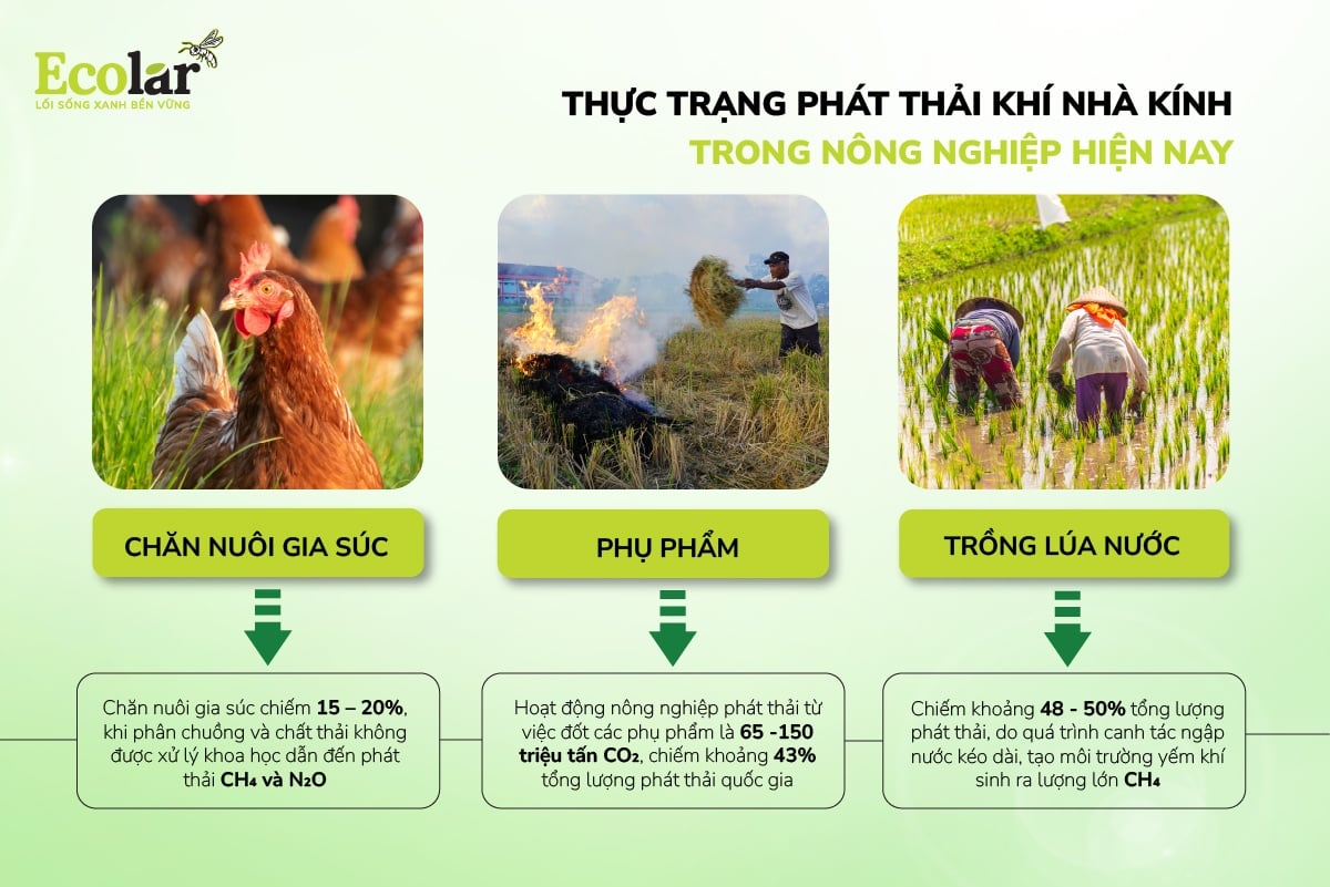 Thực trạng phát thải khí nhà kính trong nông nghiệp hiện nay