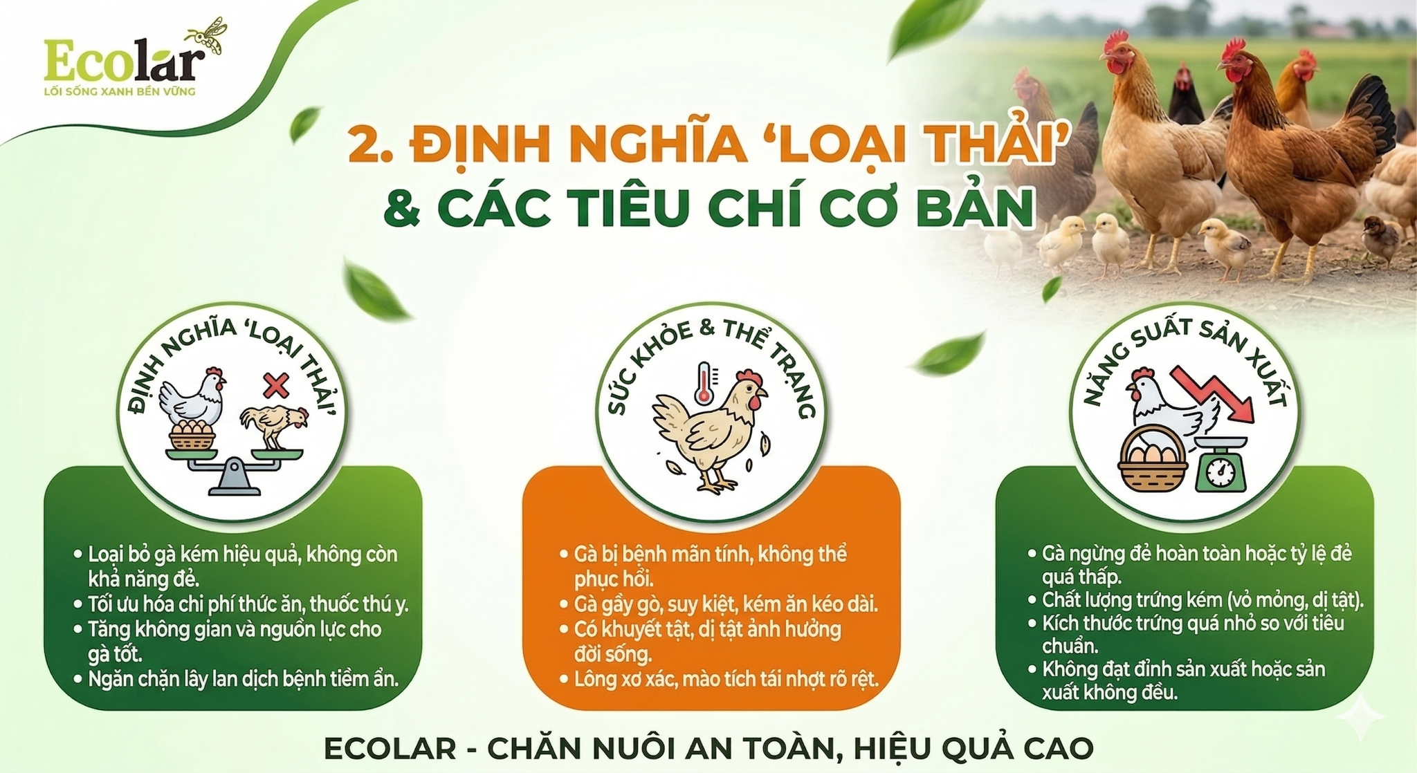 i-thai-va-cac-tieu-chi-co-ban-can-xet_b0b55904797b48e8b93697942c05758b.png