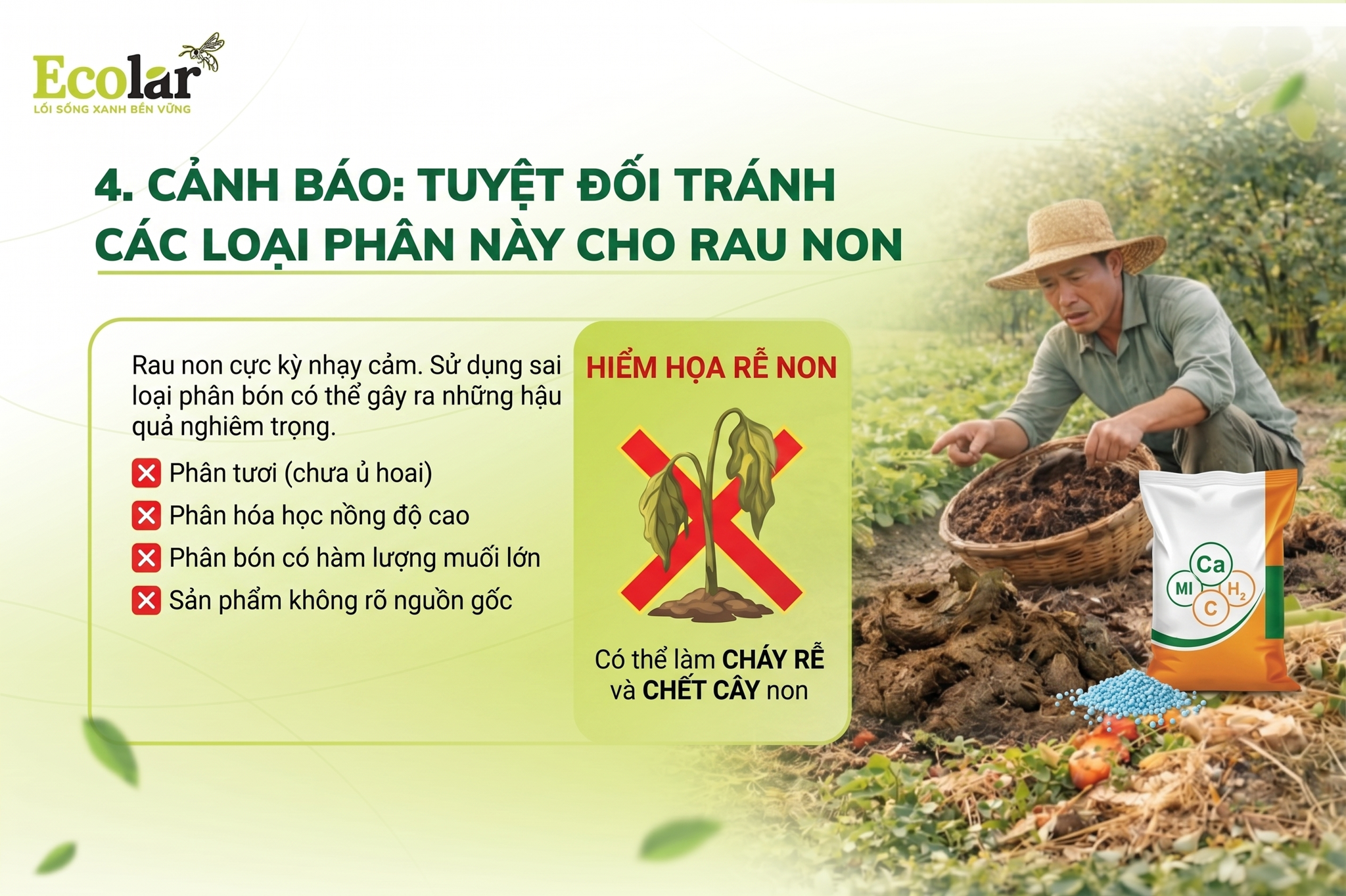 Tuyệt Đối Tránh Các Loại Phân Này Cho Rau Non