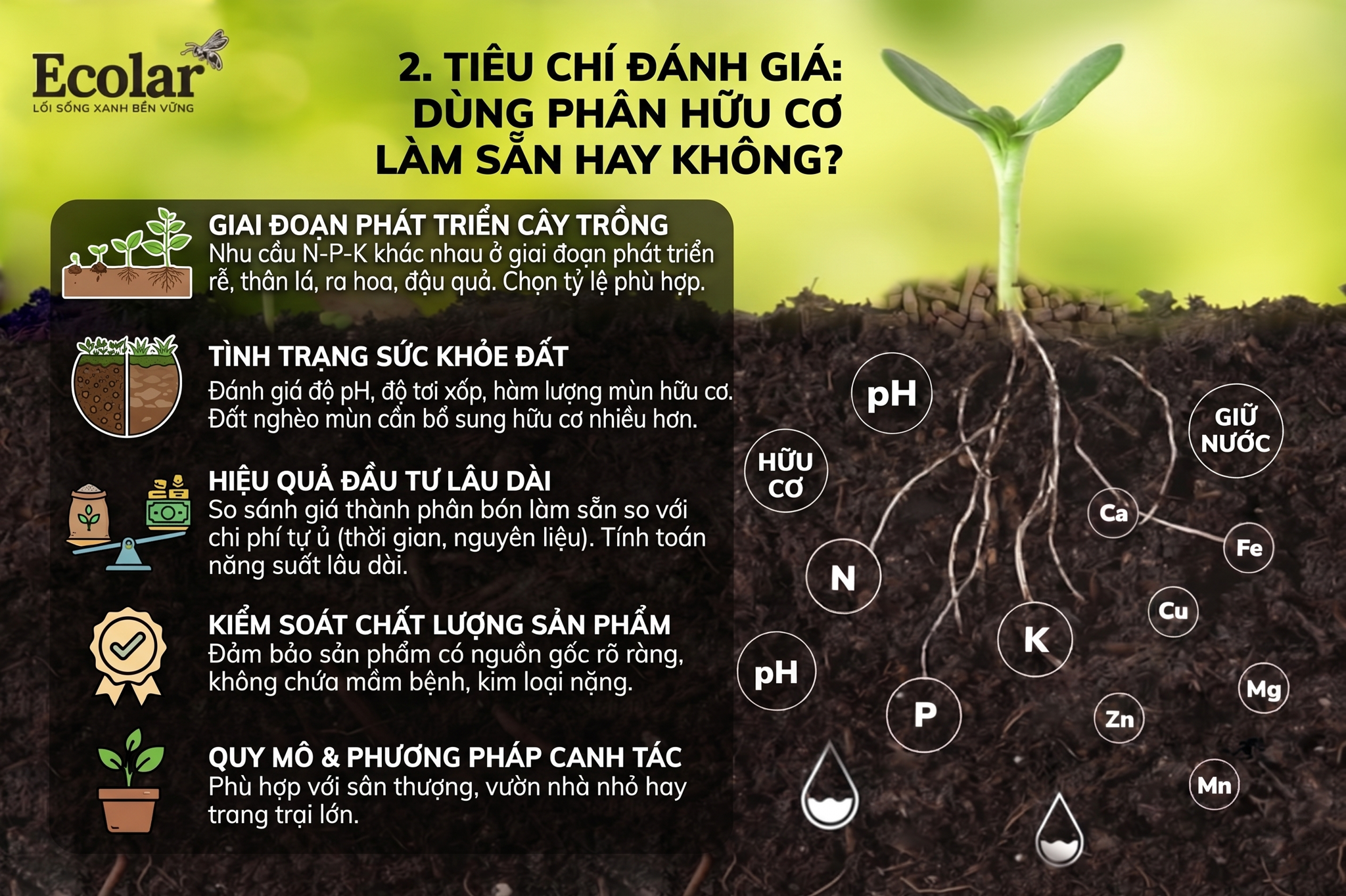 Tiêu chí đánh giá: Dùng phân hữu cơ làm sẵn hay không?