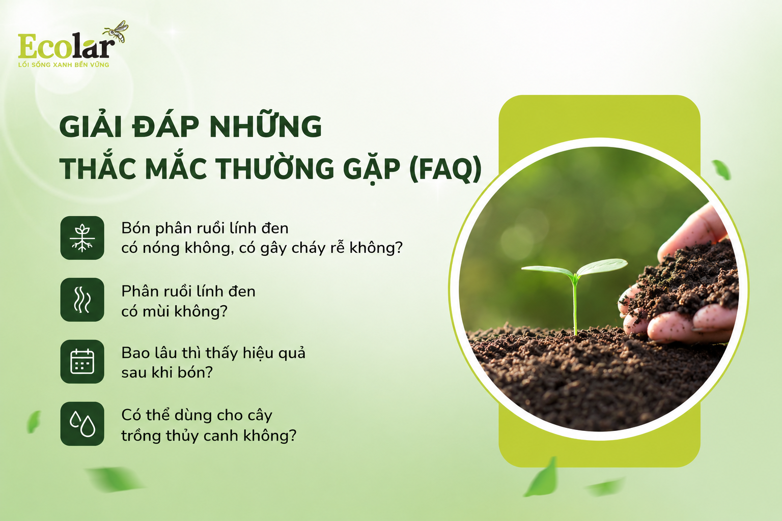 Giải Đáp Những Thắc Mắc Thường Gặp (FAQ)