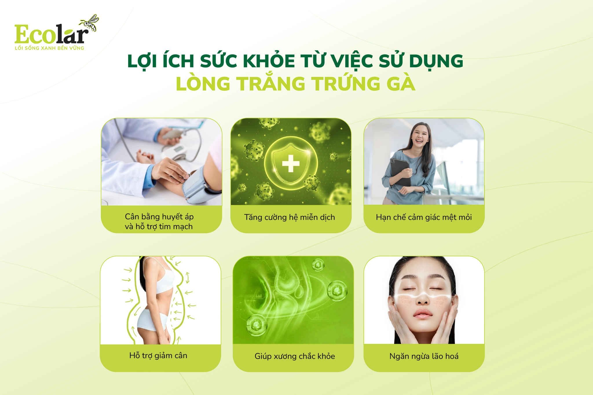 Những tác động tích cực của lòng trắng trứng đối với cơ thể