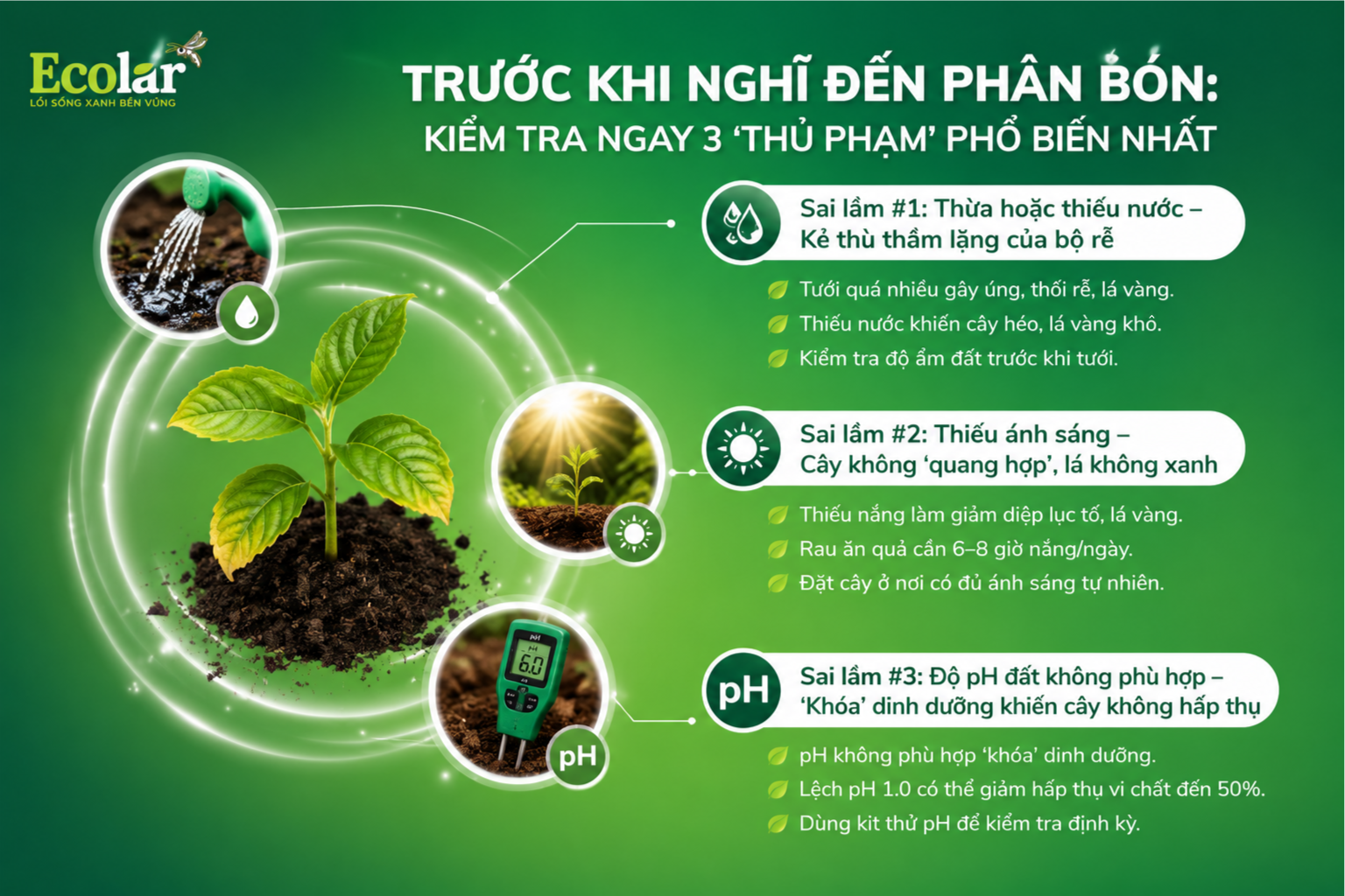 Trước Khi Nghĩ Đến Phân Bón: Kiểm Tra Ngay 3 'Thủ Phạm' Phổ Biến Nhất