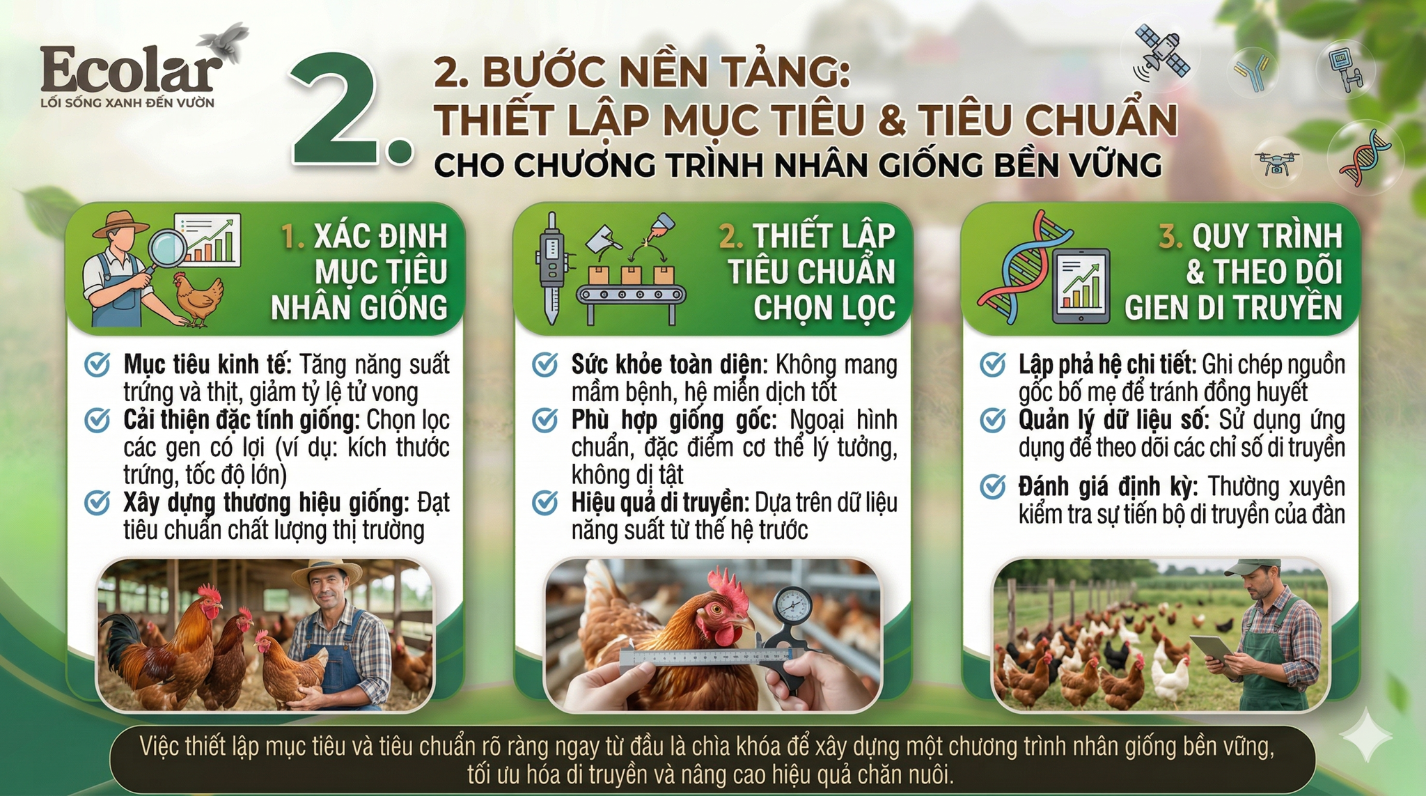 Thiết Lập Mục Tiêu & Tiêu Chuẩn Cho Chương Trình Nhân Giống
