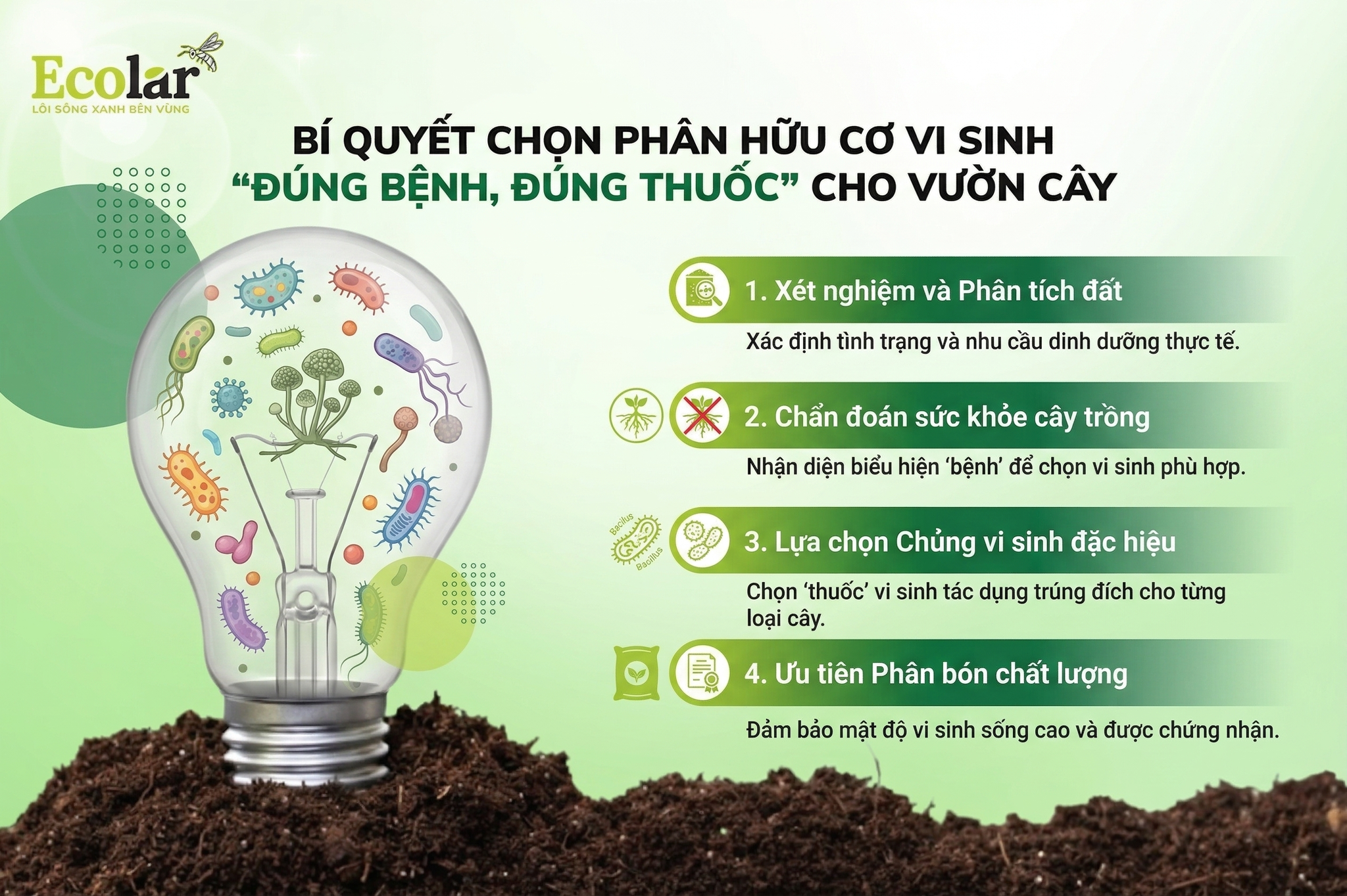 Bí Quyết Chọn Phân Hữu Cơ Vi Sinh 'Đúng Bệnh, Đúng Thuốc' Cho Vườn Cây