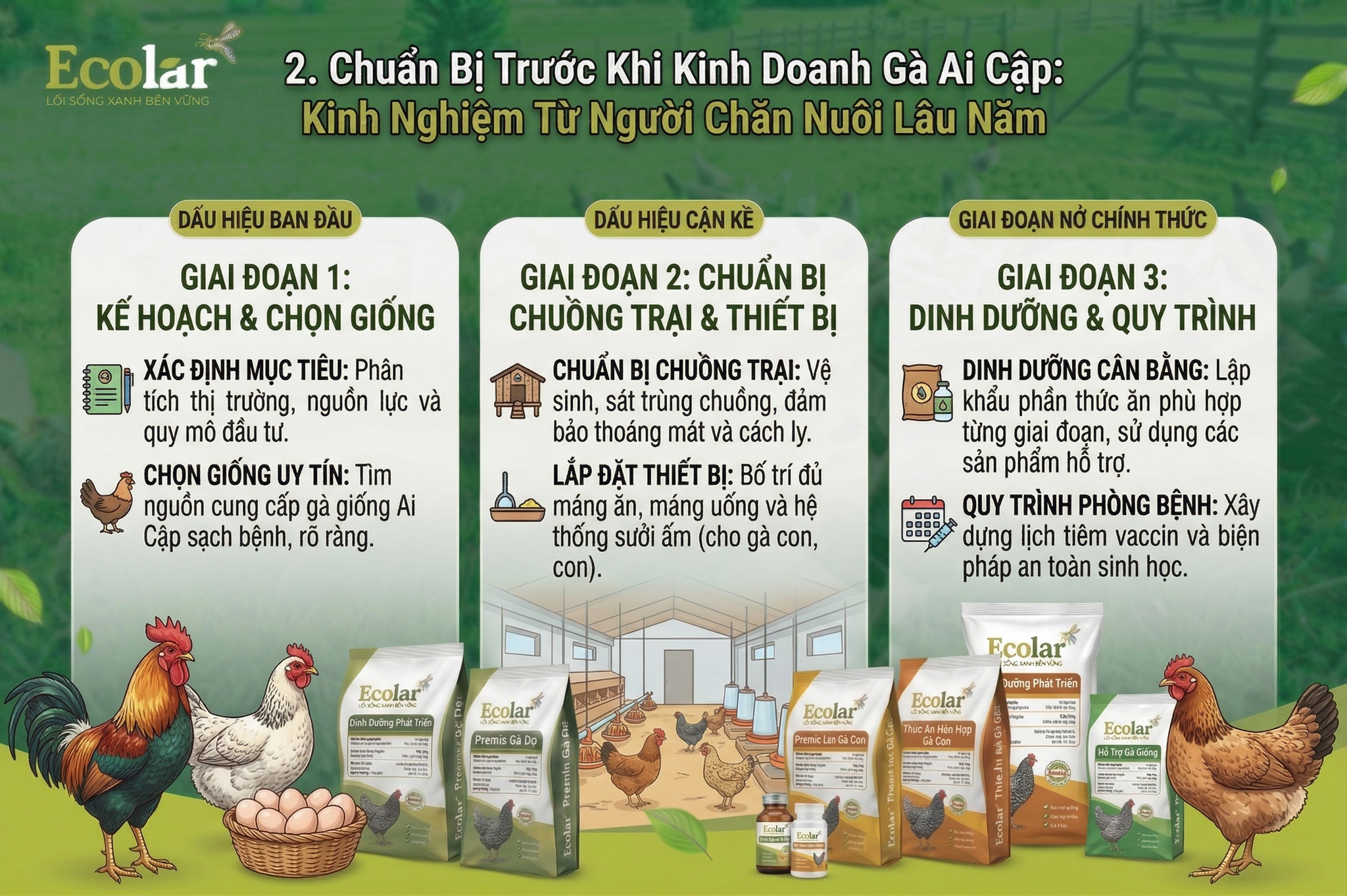 Kinh Nghiệm Từ Người Chăn Nuôi Lâu Năm