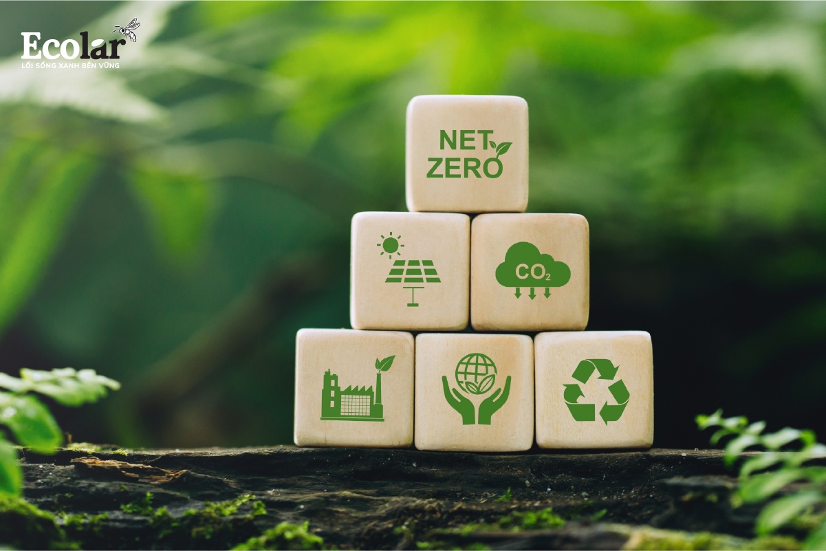 Triển vọng ứng dụng BSFly trong mô hình nông nghiệp tuần hoàn và Net Zero