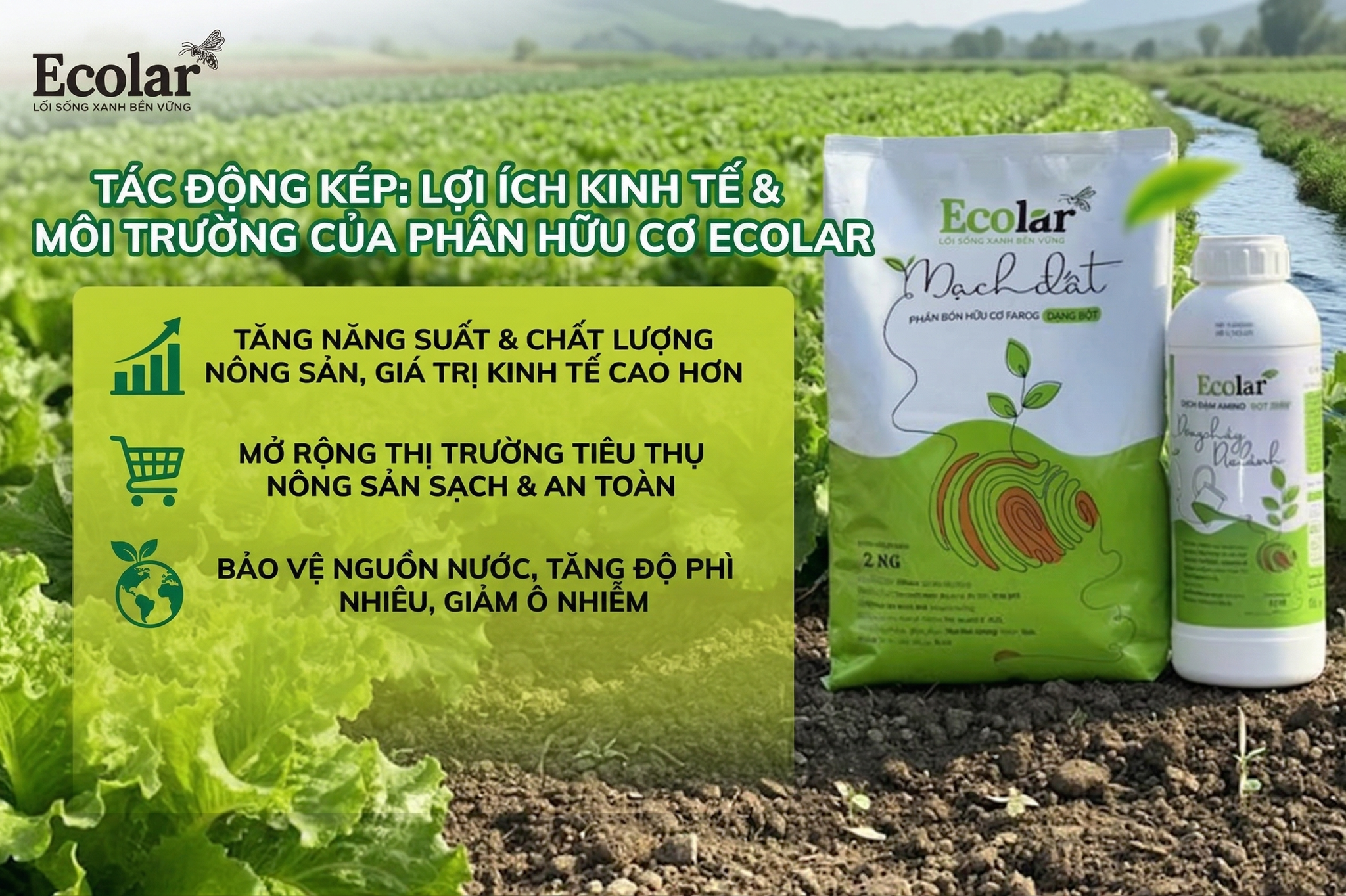 Tác động kép - Lợi ích kinh tế và môi trường không thể bỏ qua
