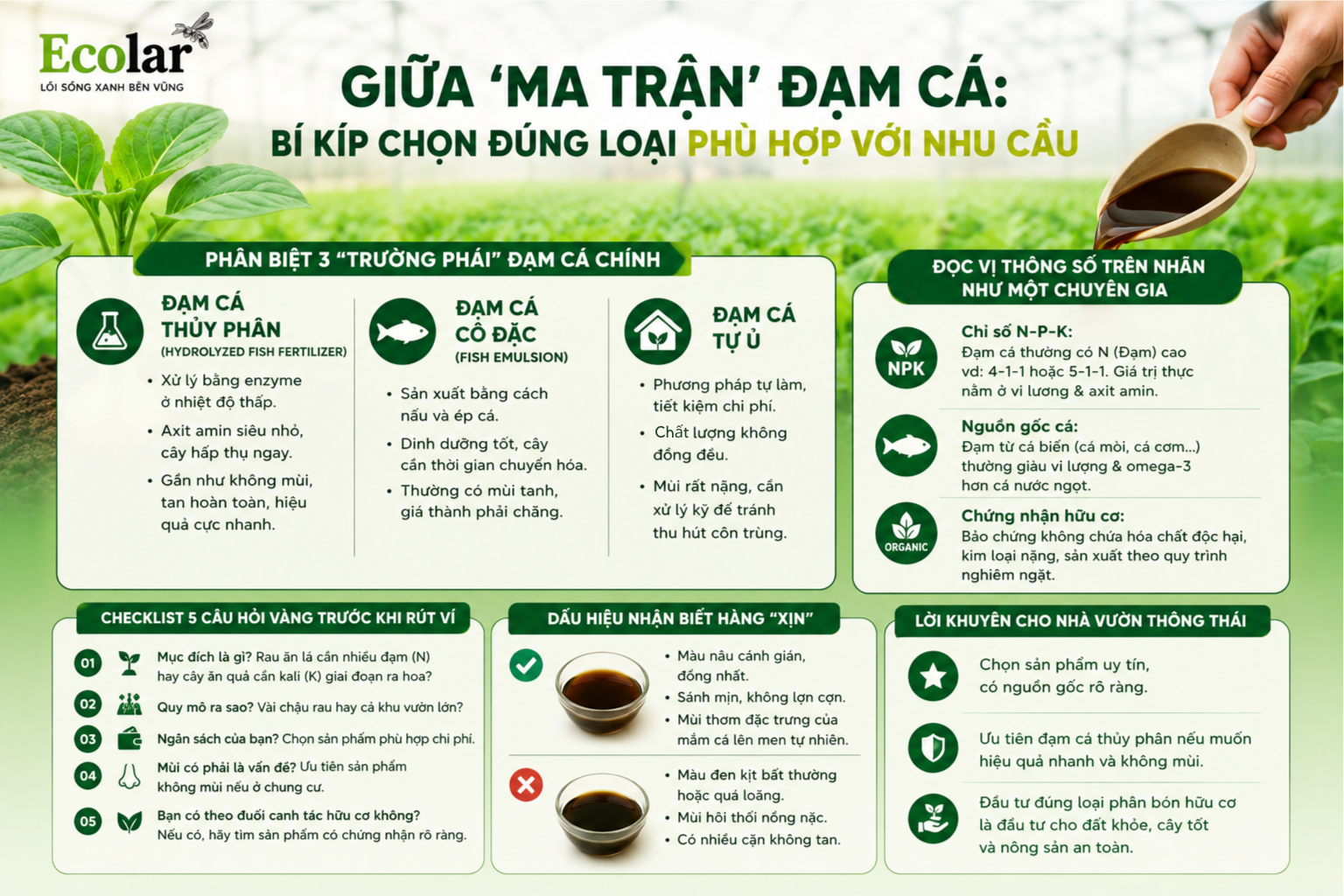 Giữa 'Ma Trận' Đạm Cá: Bí Kíp Chọn Đúng Loại Phù Hợp Với Nhu Cầu