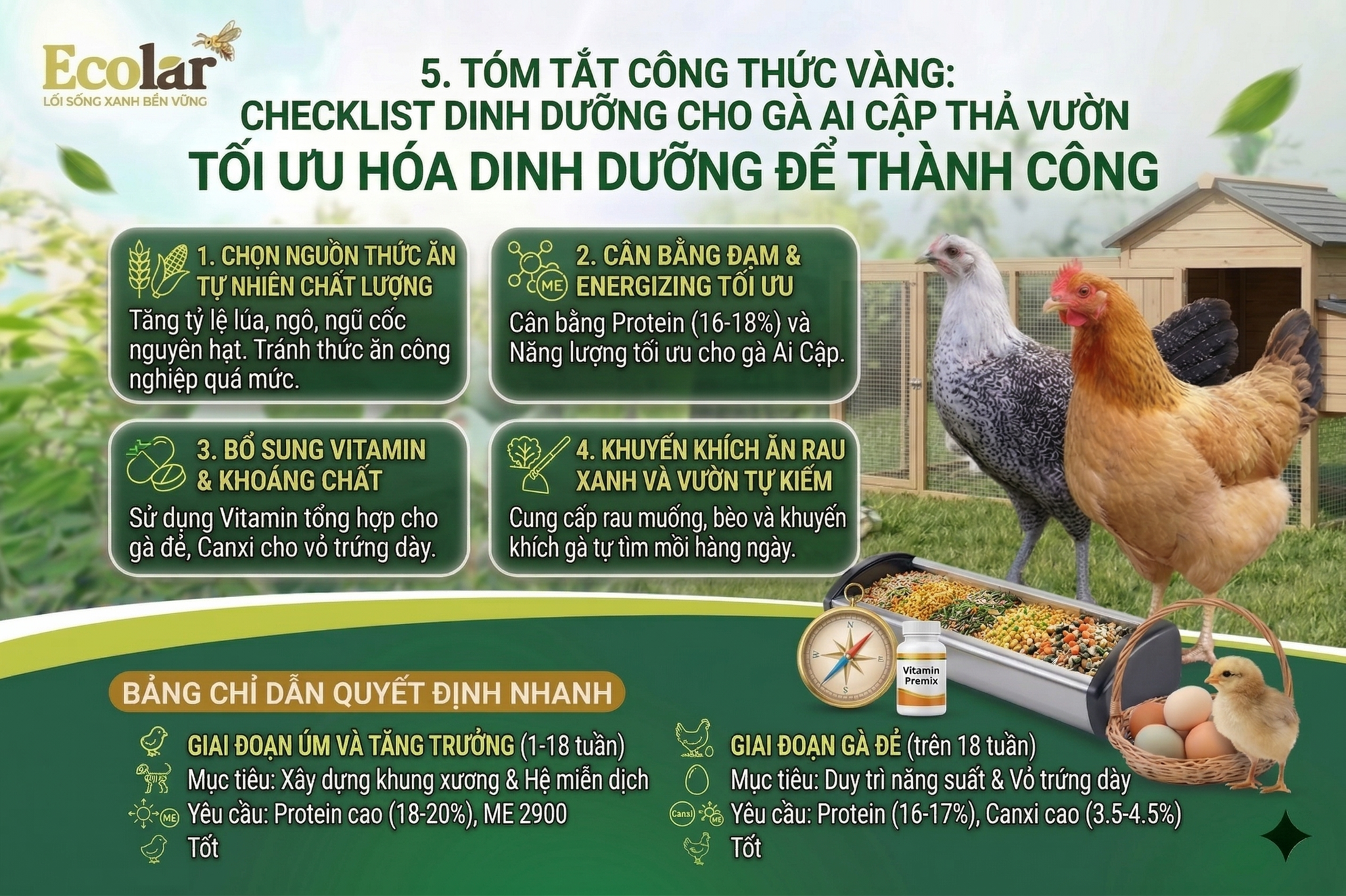 Checklist Dinh Dưỡng Cho Gà Ai Cập Thả Vườn