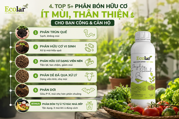 TOP 5+ Phân Bón Hữu Cơ Ít Mùi, Thân Thiện Cho Ban Công & Căn Hộ