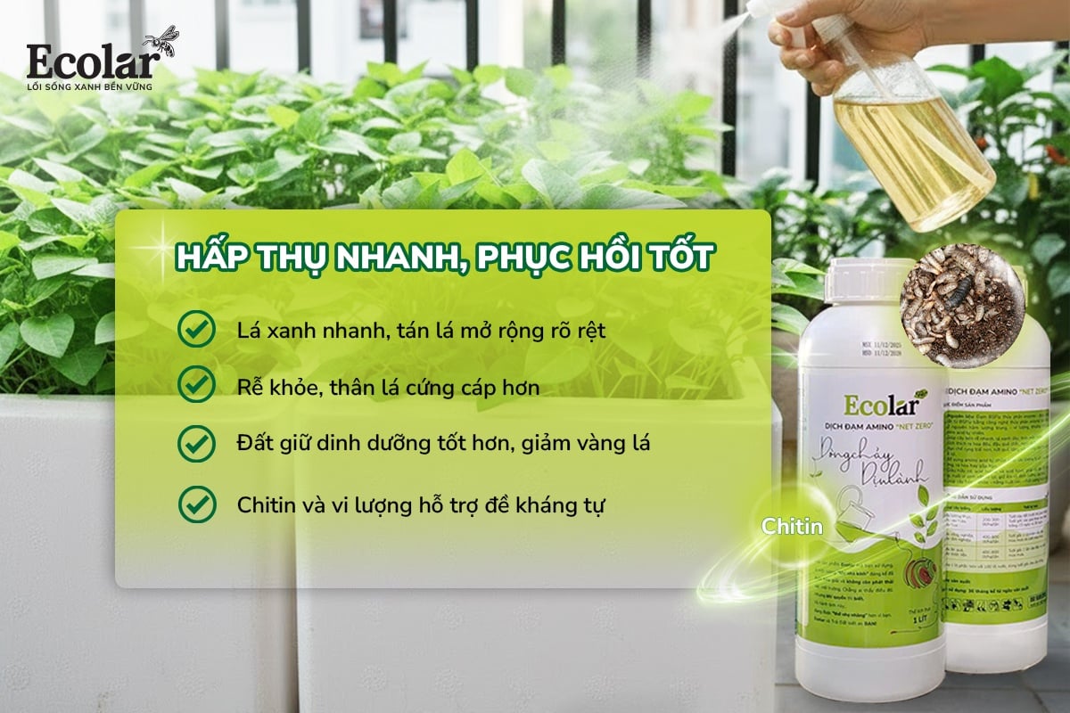 dòng chảy dịu lành