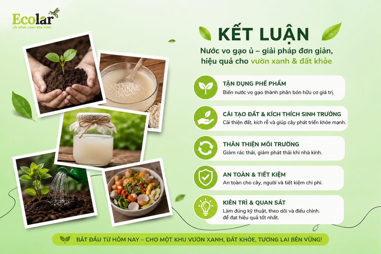 Kết luận