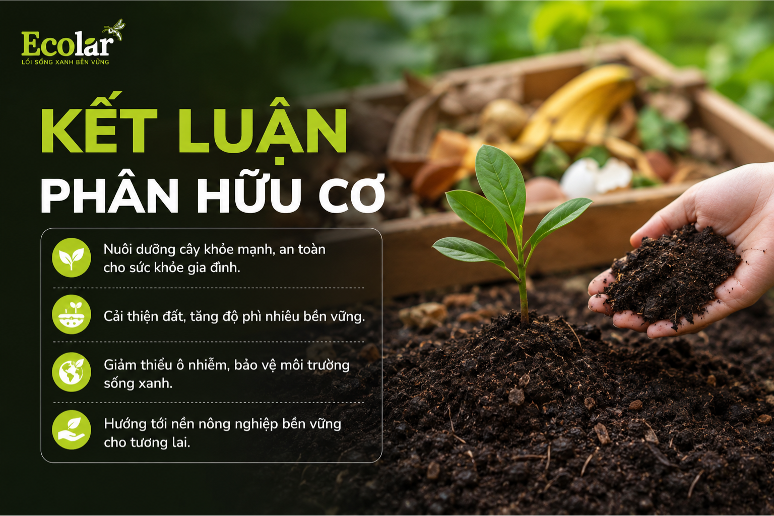 Kết luận