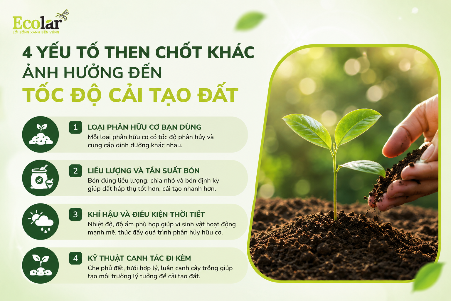 4 Yếu Tố Then Chốt Khác Ảnh Hưởng Đến Tốc Độ Cải Tạo Đất
