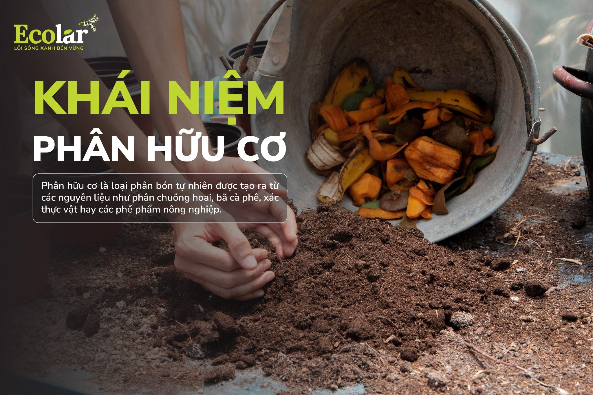 Khái niệm phân hữu cơ