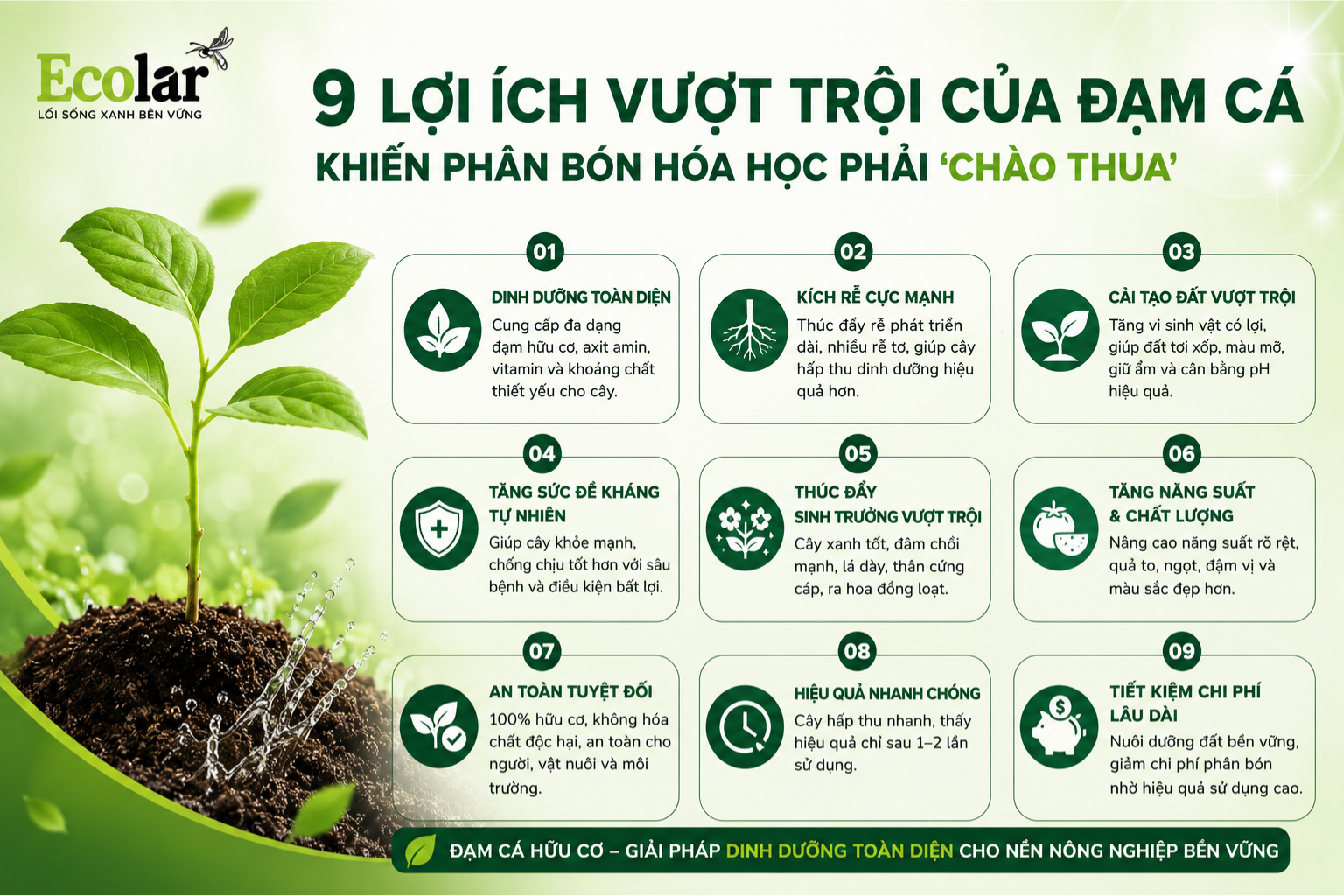 9 Lợi Ích Vượt Trội Của Đạm Cá Khiến Phân Bón Hóa Học Phải 'Chào Thua'