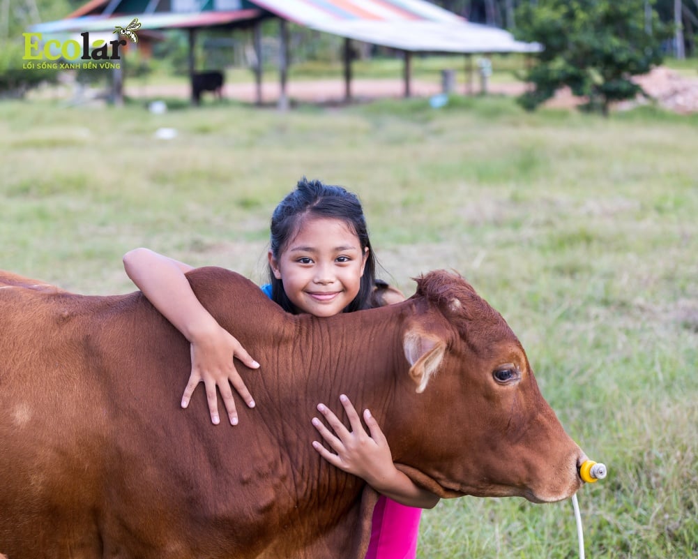 Khoáng chất thiết yếu và vi lượng quý