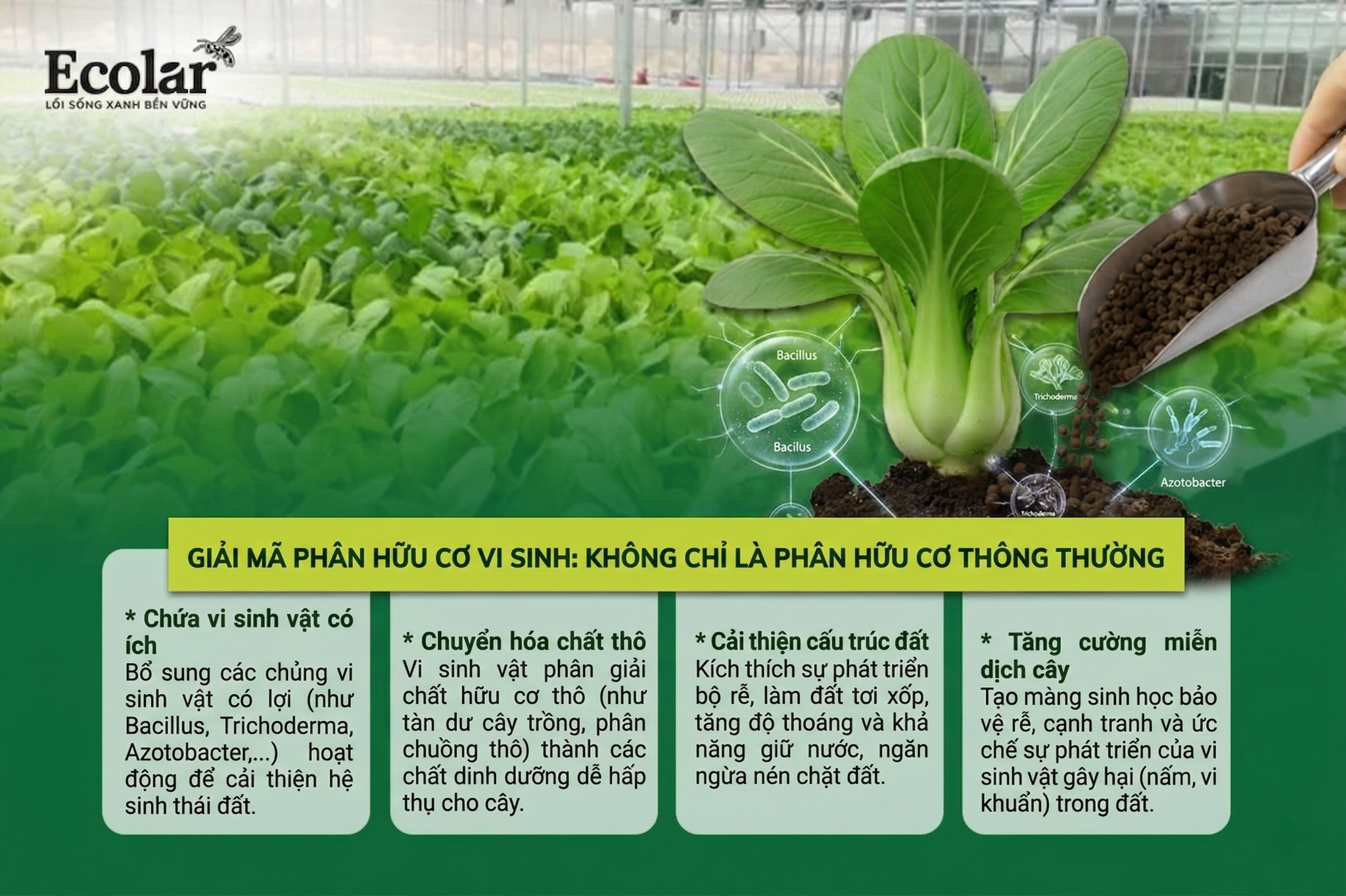 Không Chỉ Là Phân Hữu Cơ Thông Thường