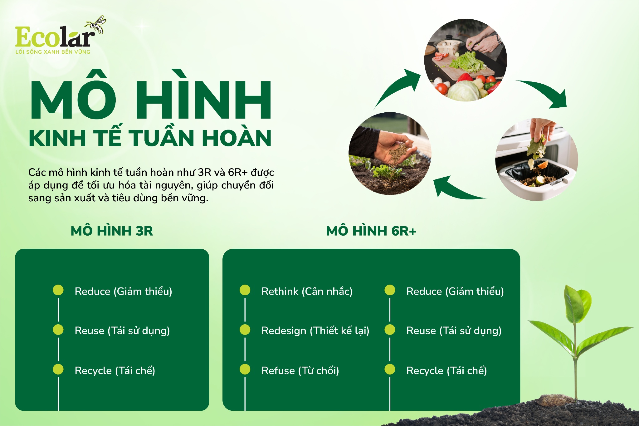 mô hình kinh tế tuần hoàn