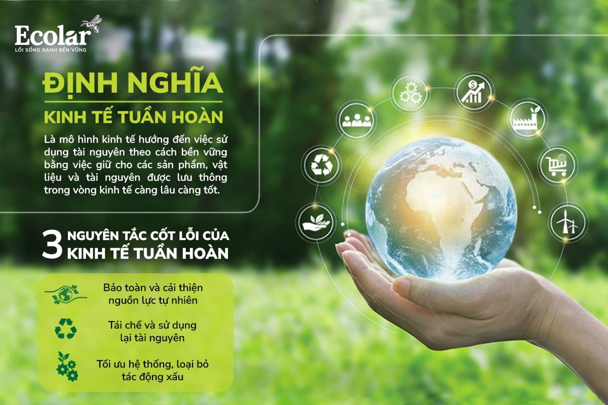 kinh tế tuần hoàn
