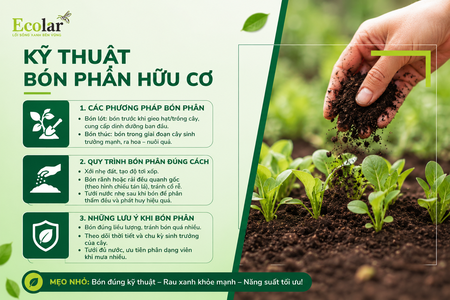 Kỹ Thuật Bón Phân Hữu Cơ