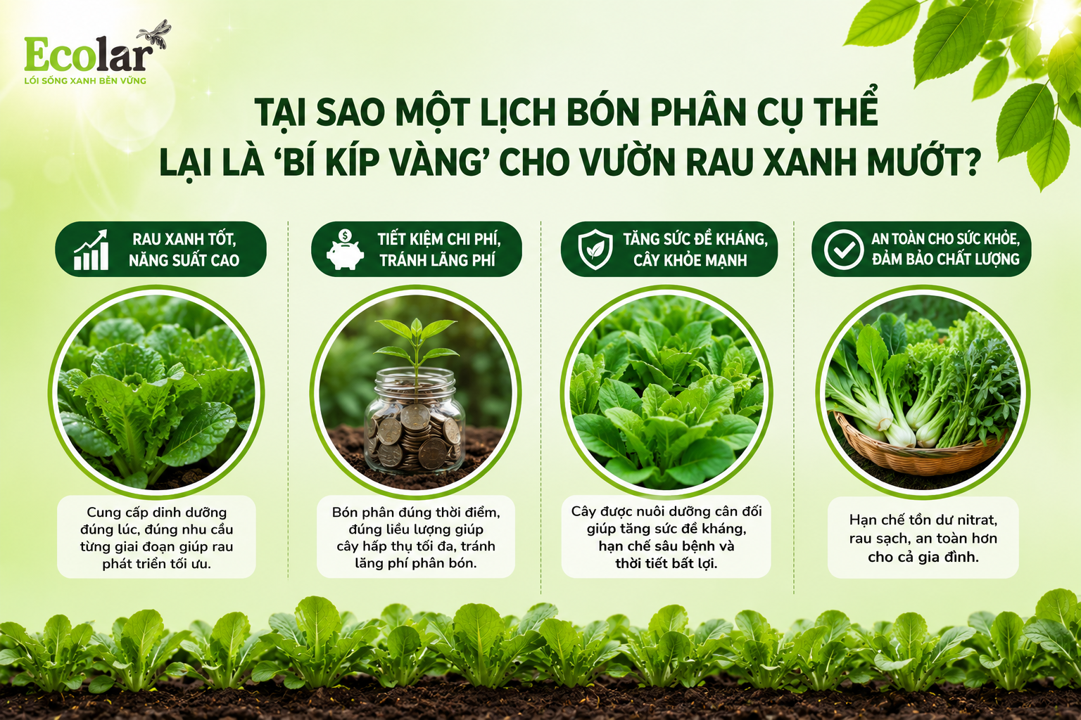 Tại Sao Một Lịch Bón Phân Cụ Thể Lại Là 'Bí Kíp Vàng' Cho Vườn Rau Xanh Mướt?