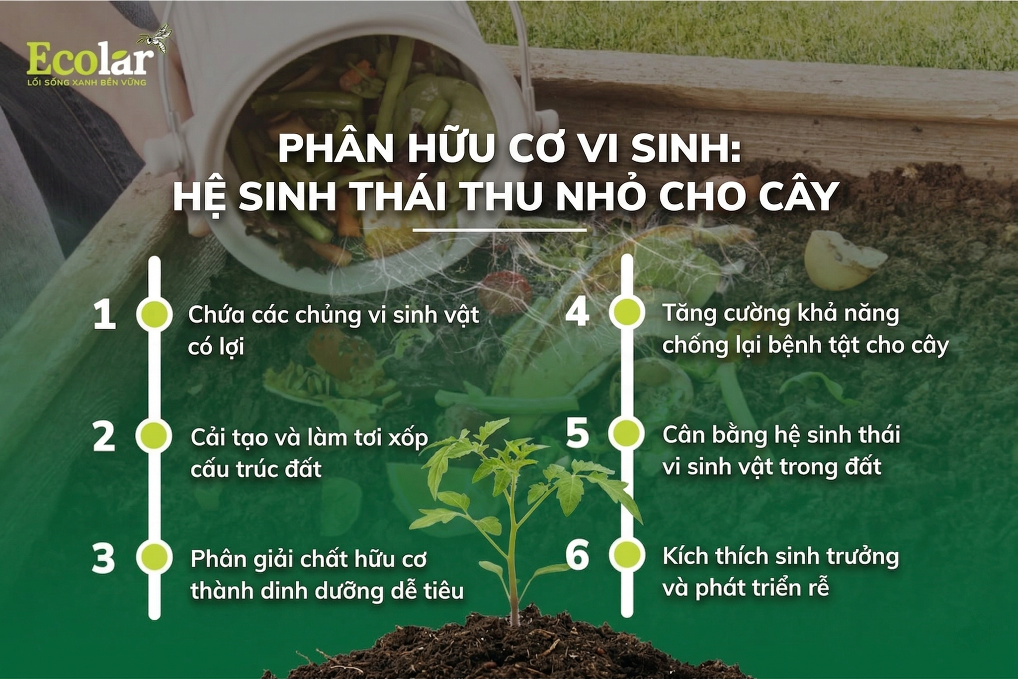 Không chỉ là dinh dưỡng, mà là 'hệ sinh thái' thu nhỏ cho cây trồng