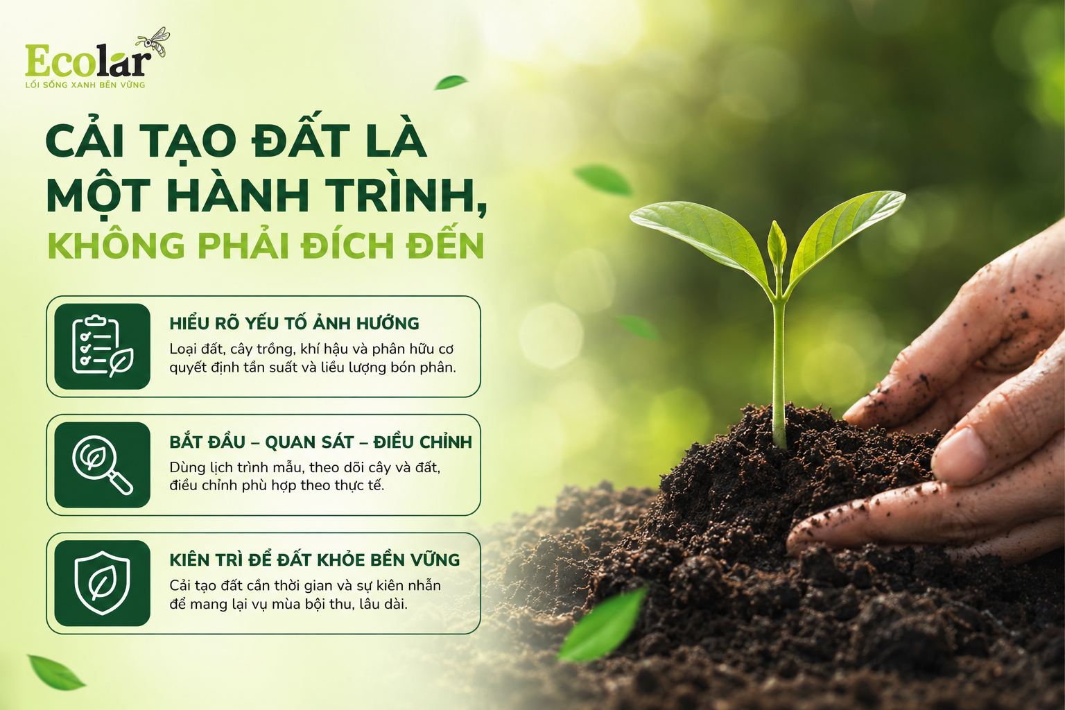 Kết Luận: Cải Tạo Đất Là Một Hành Trình, Không Phải Đích Đến