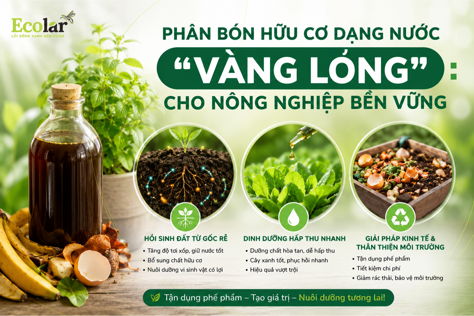 Tại Sao Phân Bón Hữu Cơ Dạng Nước Là 'Vàng Lỏng' Cho Nông Nghiệp Bền Vững?
