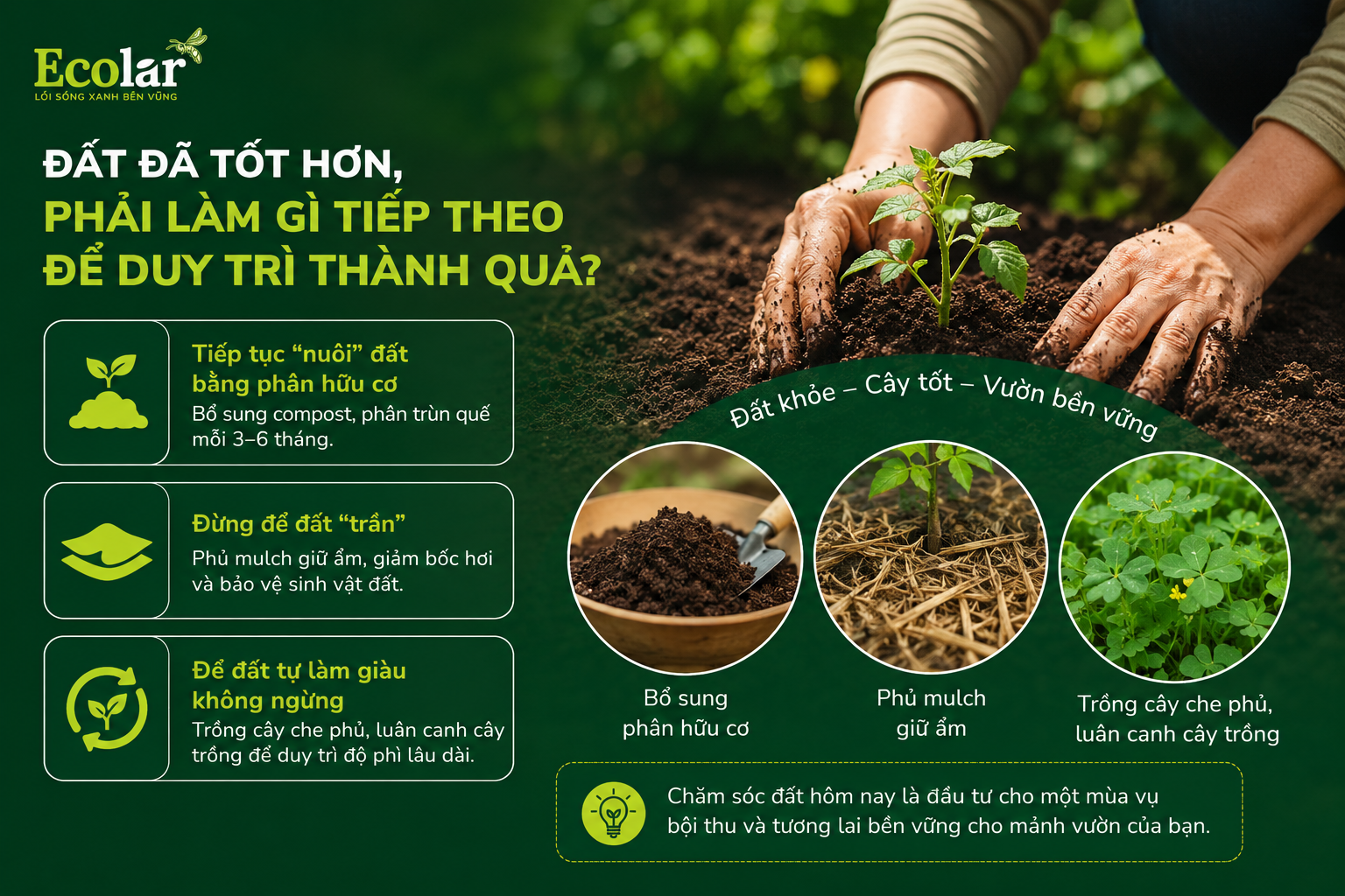 Đất Đã Tốt Hơn, Phải Làm Gì Tiếp Theo Để Duy Trì Thành Quả?