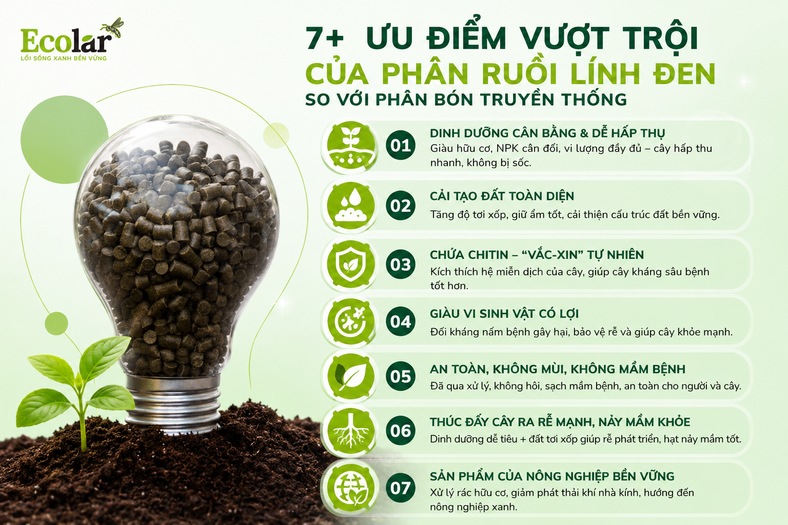 7+ Ưu Điểm Vượt Trội Của Phân Ruồi Lính Đen So Với Phân Bón Truyền Thống