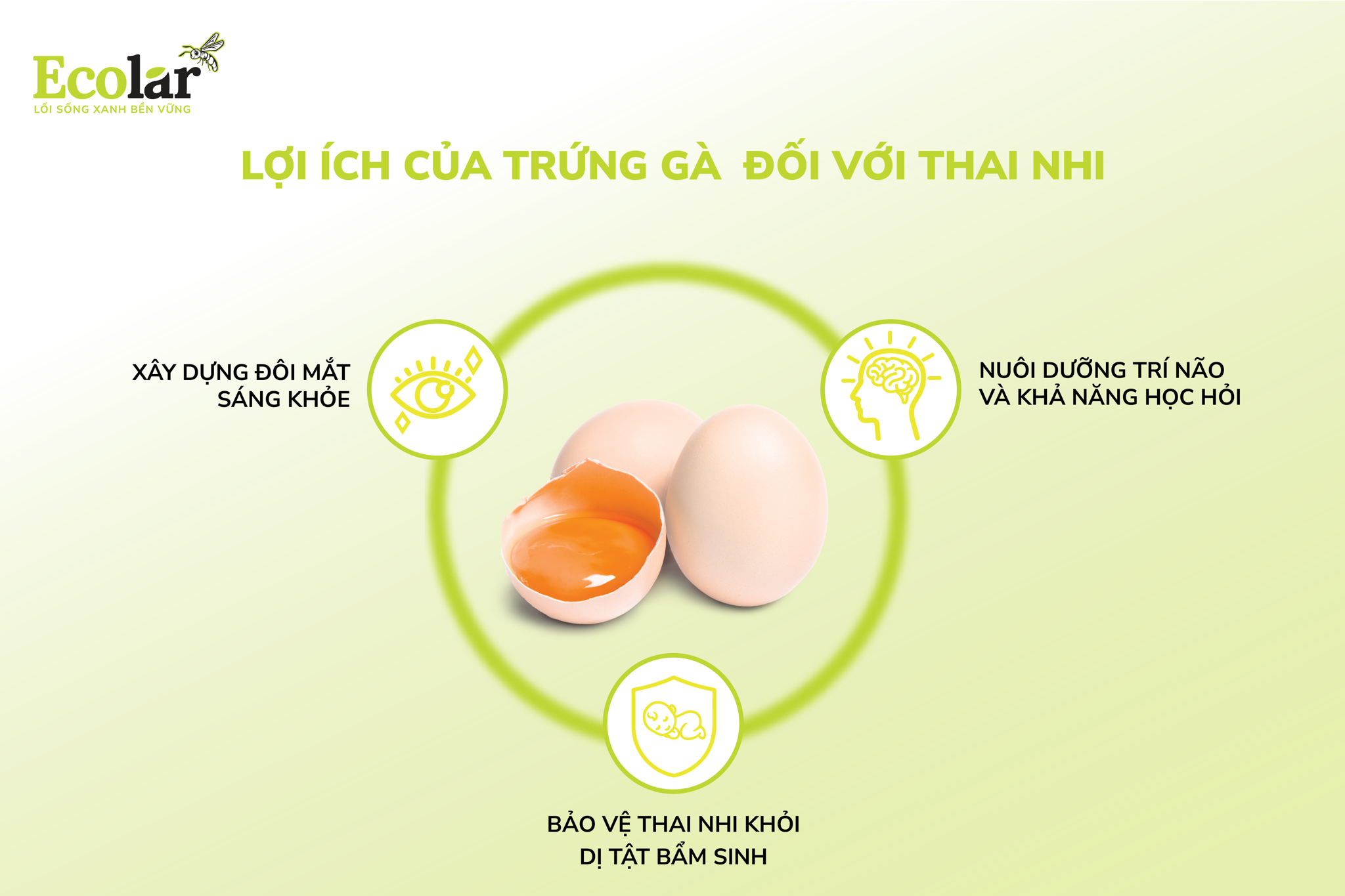 lợi ích của trứng gà đối với thai nhi
