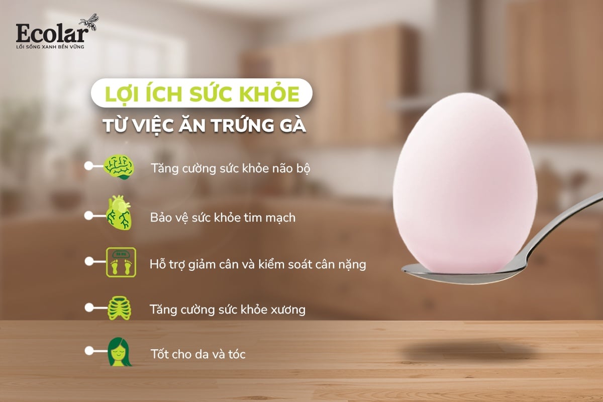 lợi ích sức khỏe từ việc ăn trứng