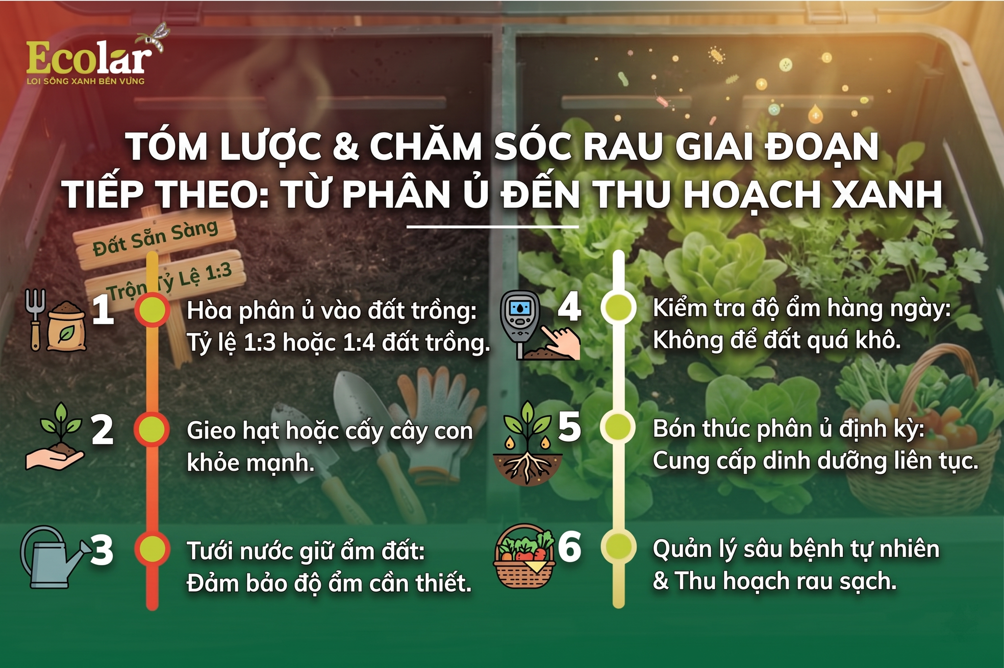 Tóm Lược & Chăm Sóc Rau Giai Đoạn Tiếp Theo