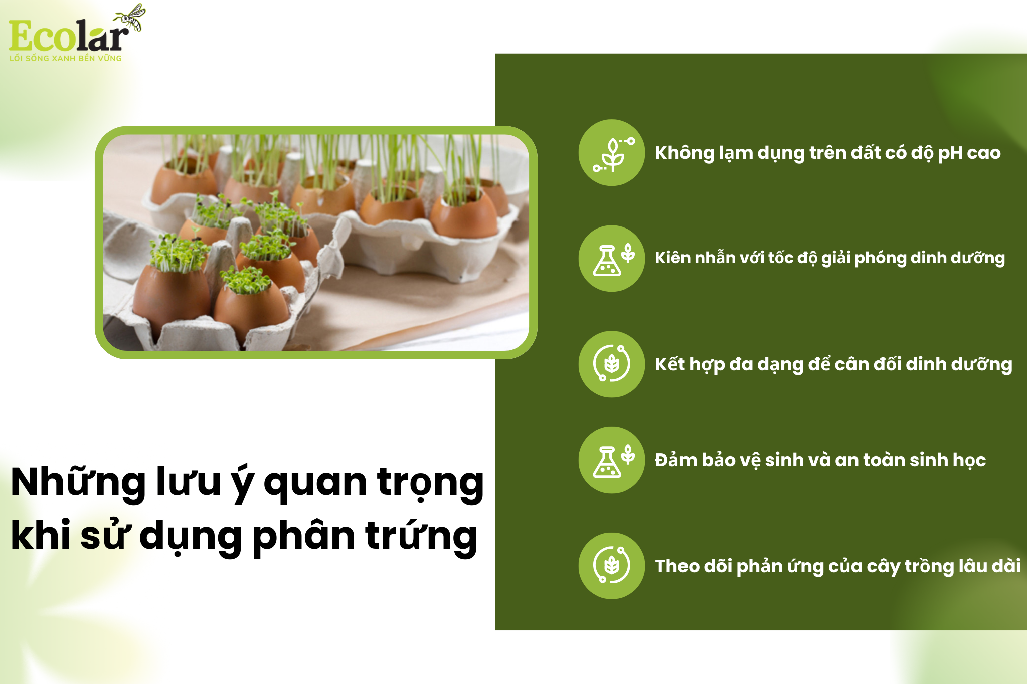 luu y 3f3769836cb24362b46f5b5805b6f374 Bao Bì Ánh Sáng - Chuyên Gia Bao Bì PP Dệt