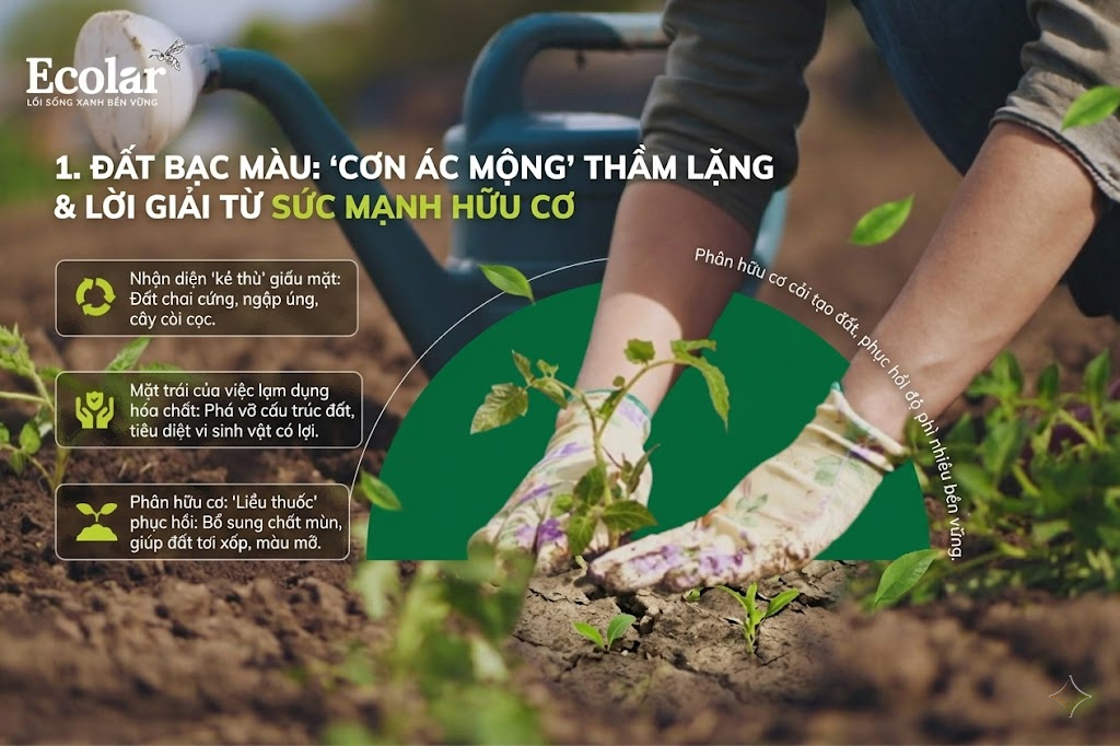 Đất Bạc Màu: 'Cơn Ác Mộng' Thầm Lặng & Lời Giải Từ Sức Mạnh Hữu Cơ