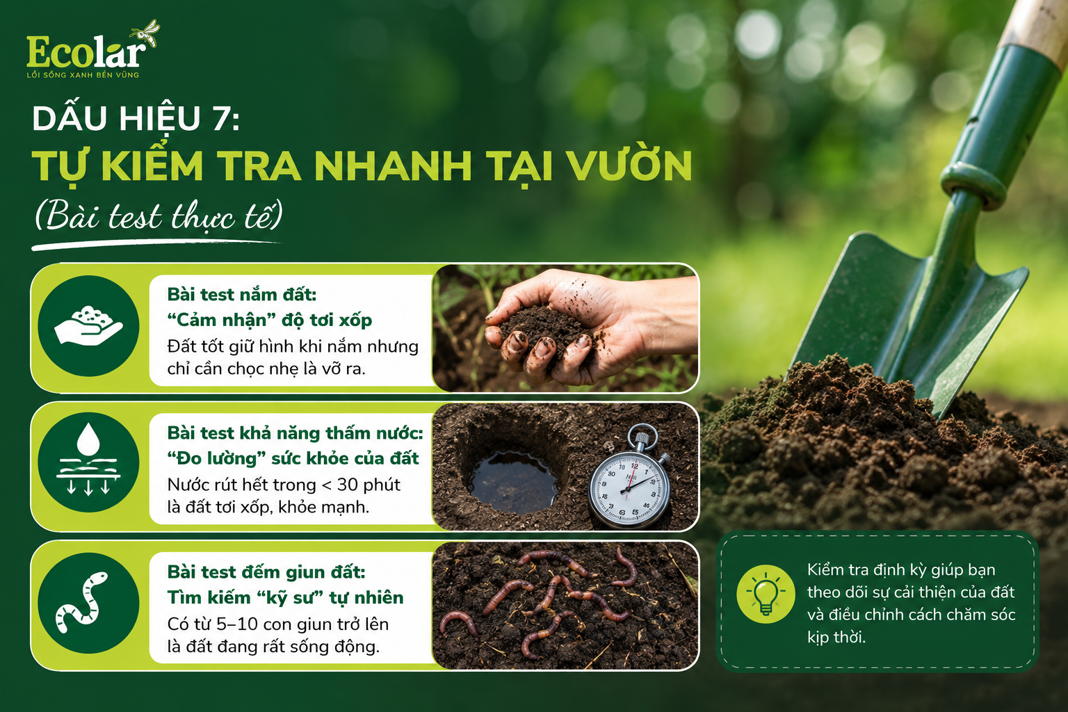 Dấu Hiệu 7: Tự Kiểm Tra Nhanh Tại Vườn (Bài test thực tế)
