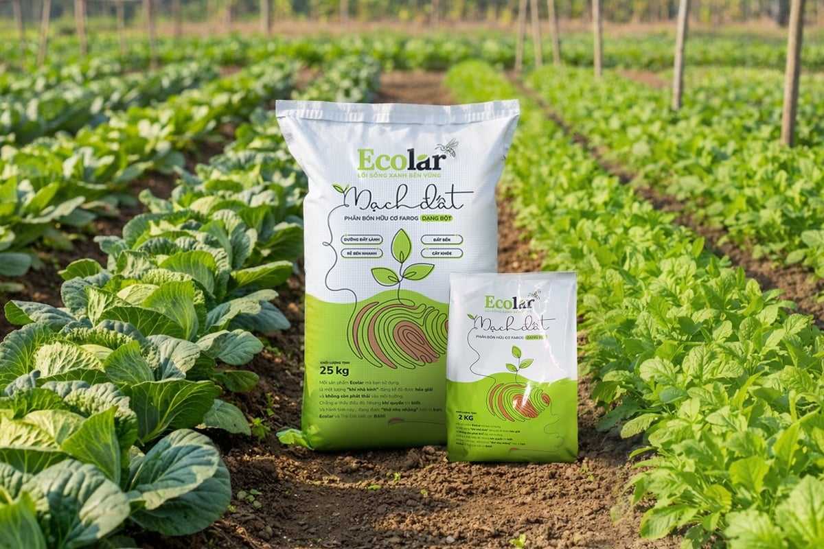 mạch đất ecolar