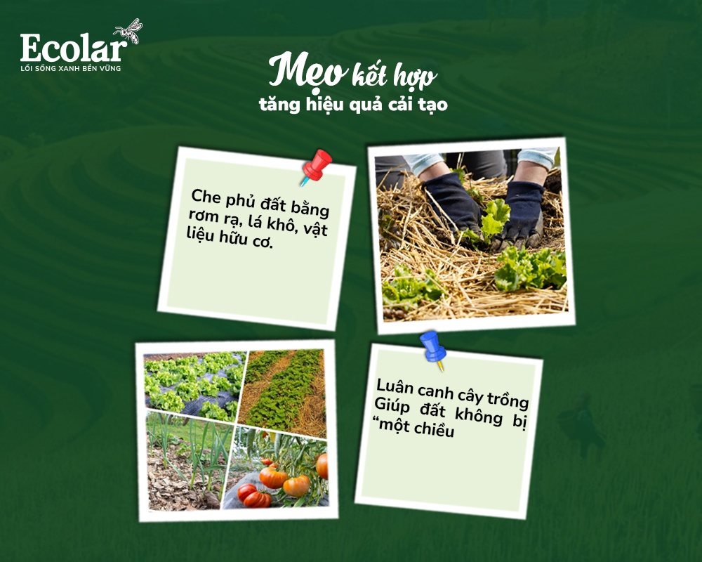 Meo-ket-hop-de-tang-hieu-qua-cai-tao