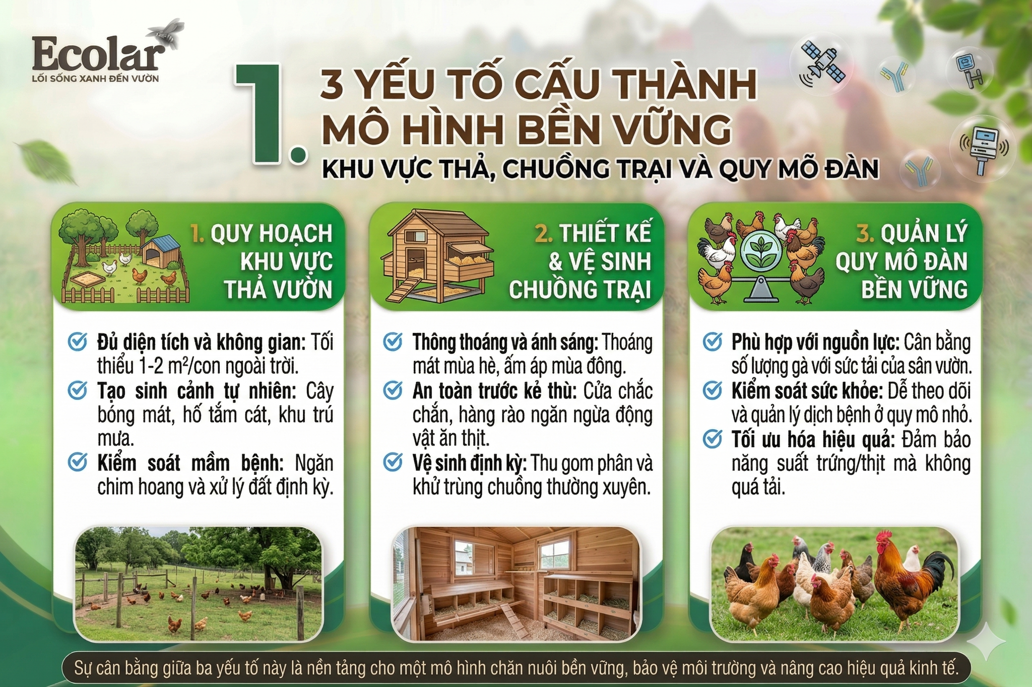 Khu Vực Thả, Chuồng Trại và Quy Mô Đàn