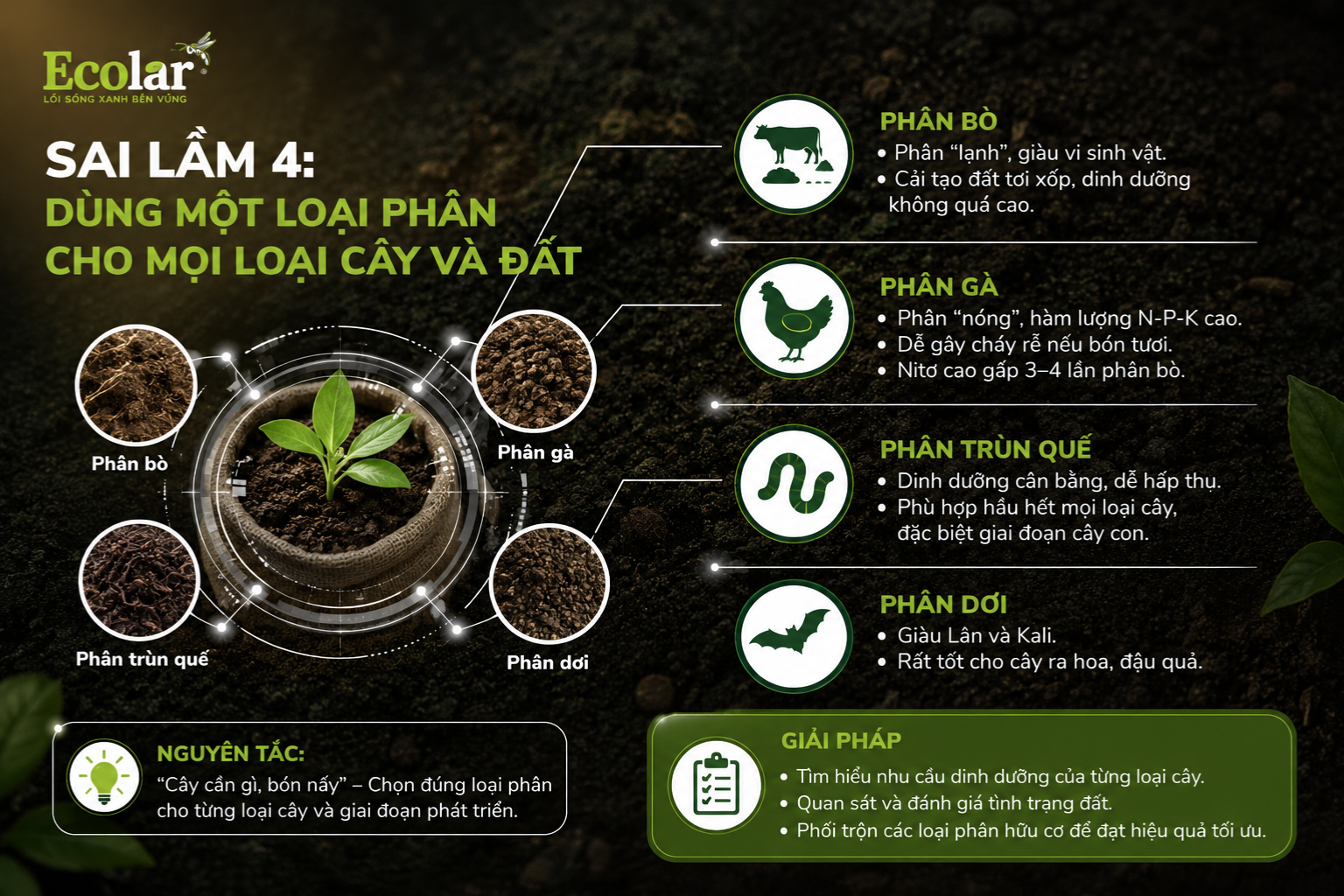 Sai lầm 4: Dùng Một Loại Phân Cho Mọi Loại Cây và Đất
