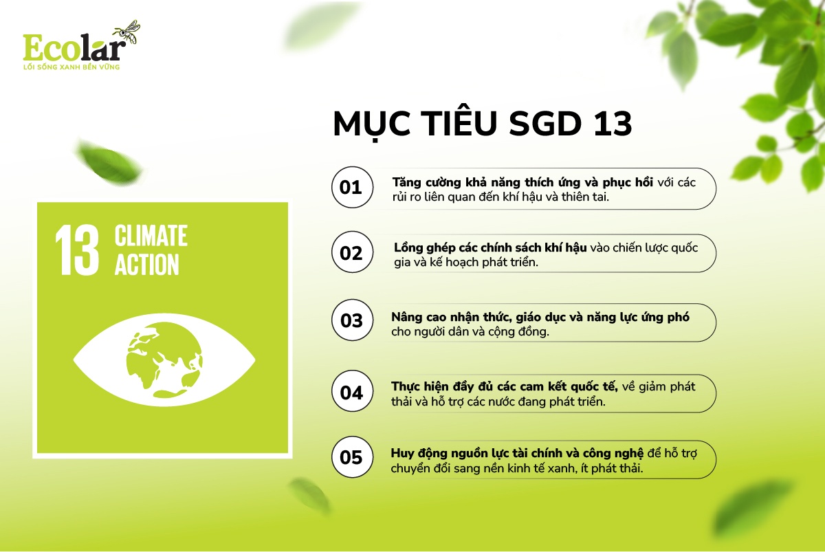 Mục tiêu SDG13