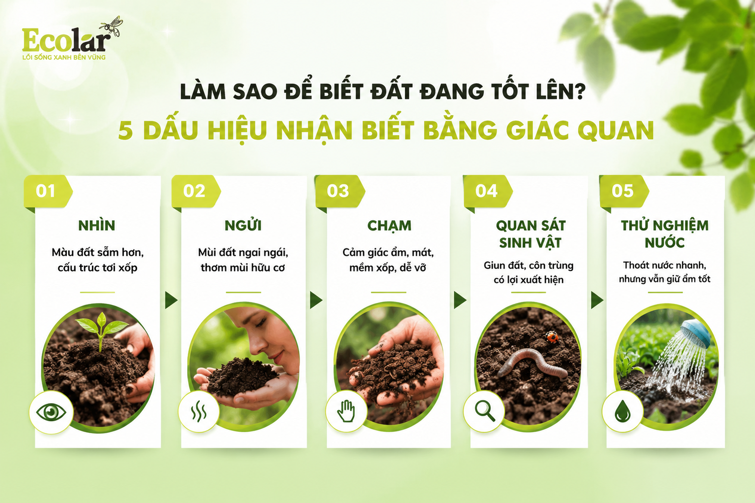 Làm Sao Để Biết Đất Đang Tốt Lên? 5 Dấu Hiệu Nhận Biết Bằng Giác Quan