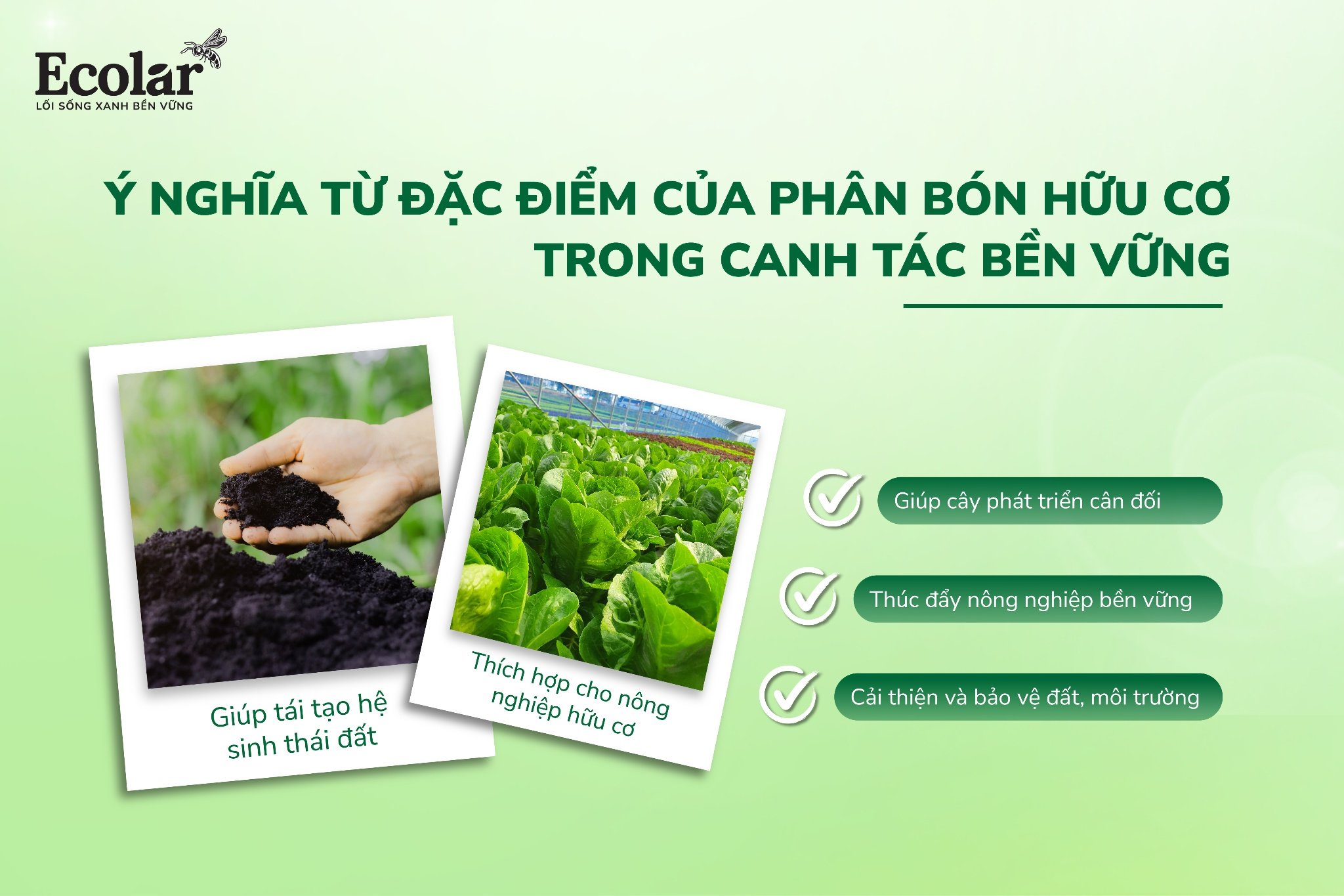 n-bon-huu-co-trong-canh-tac-ben-vung-_3e2e60f3dff64458afbe5f2cba216d09.jpg