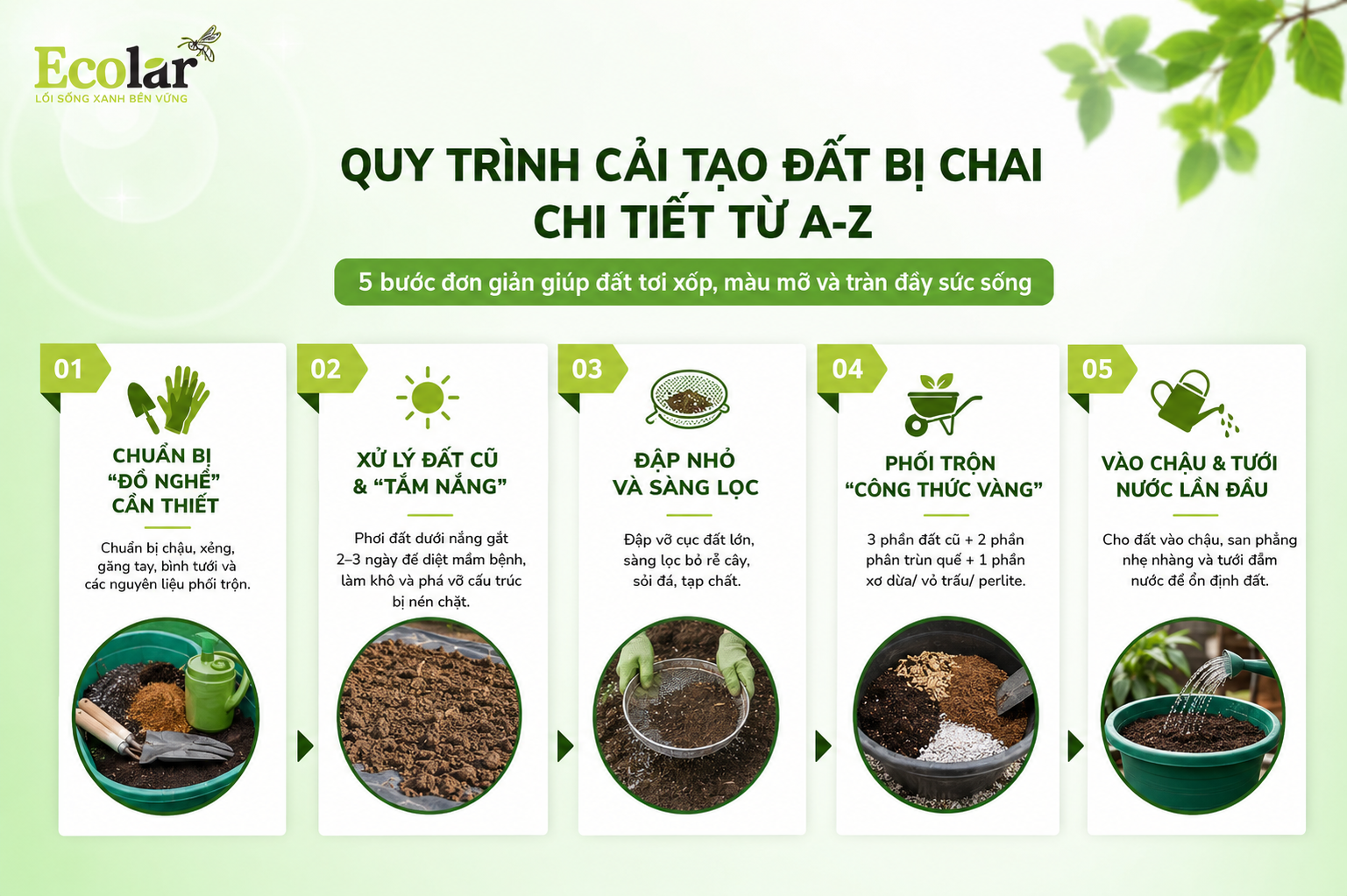 Hướng Dẫn Cải Tạo Đất Bị Chai Chi Tiết Từ A-Z