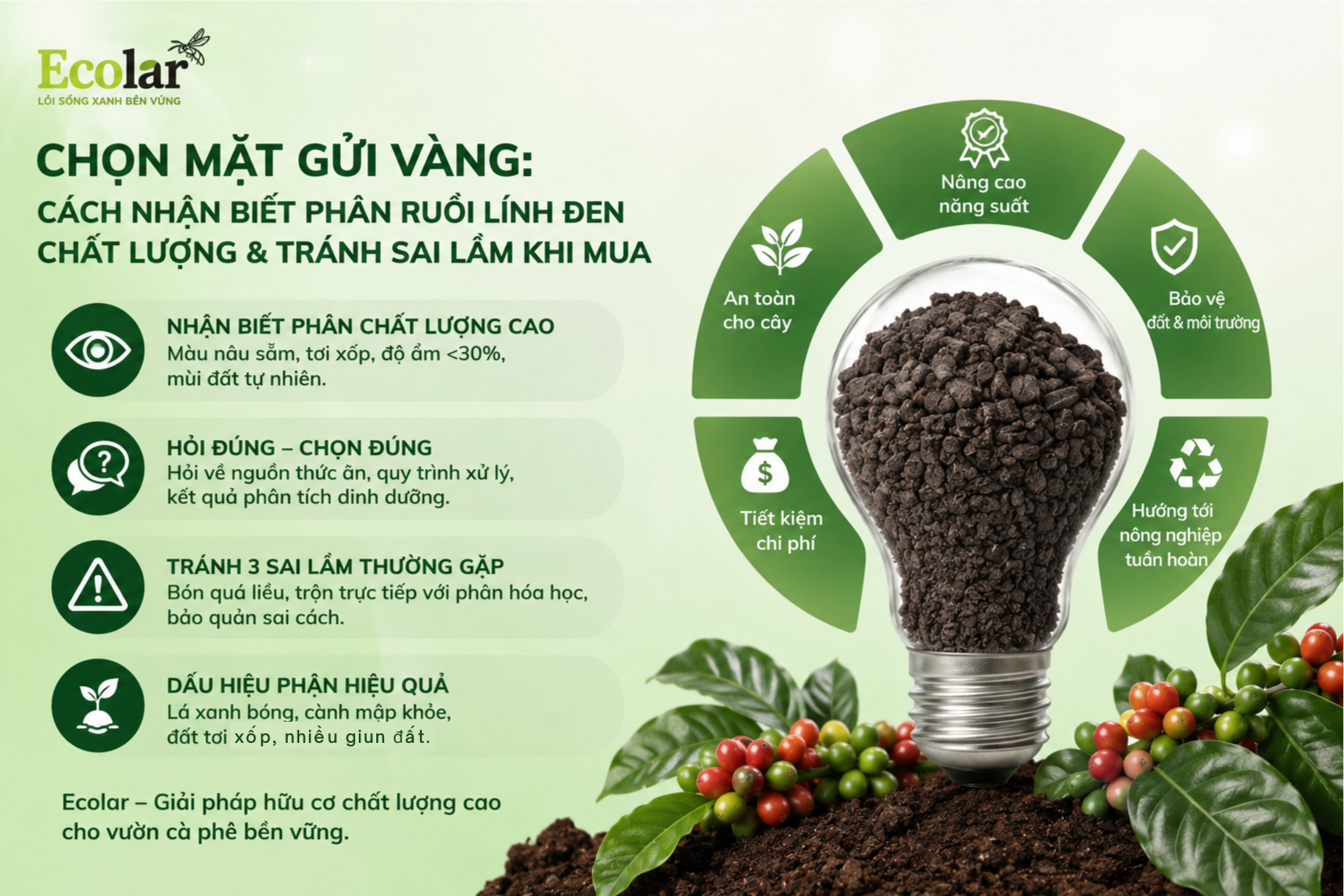 Chọn Mặt Gửi Vàng: Cách Nhận Biết Phân Ruồi Lính Đen Chất Lượng & Tránh Sai Lầm Khi Mua